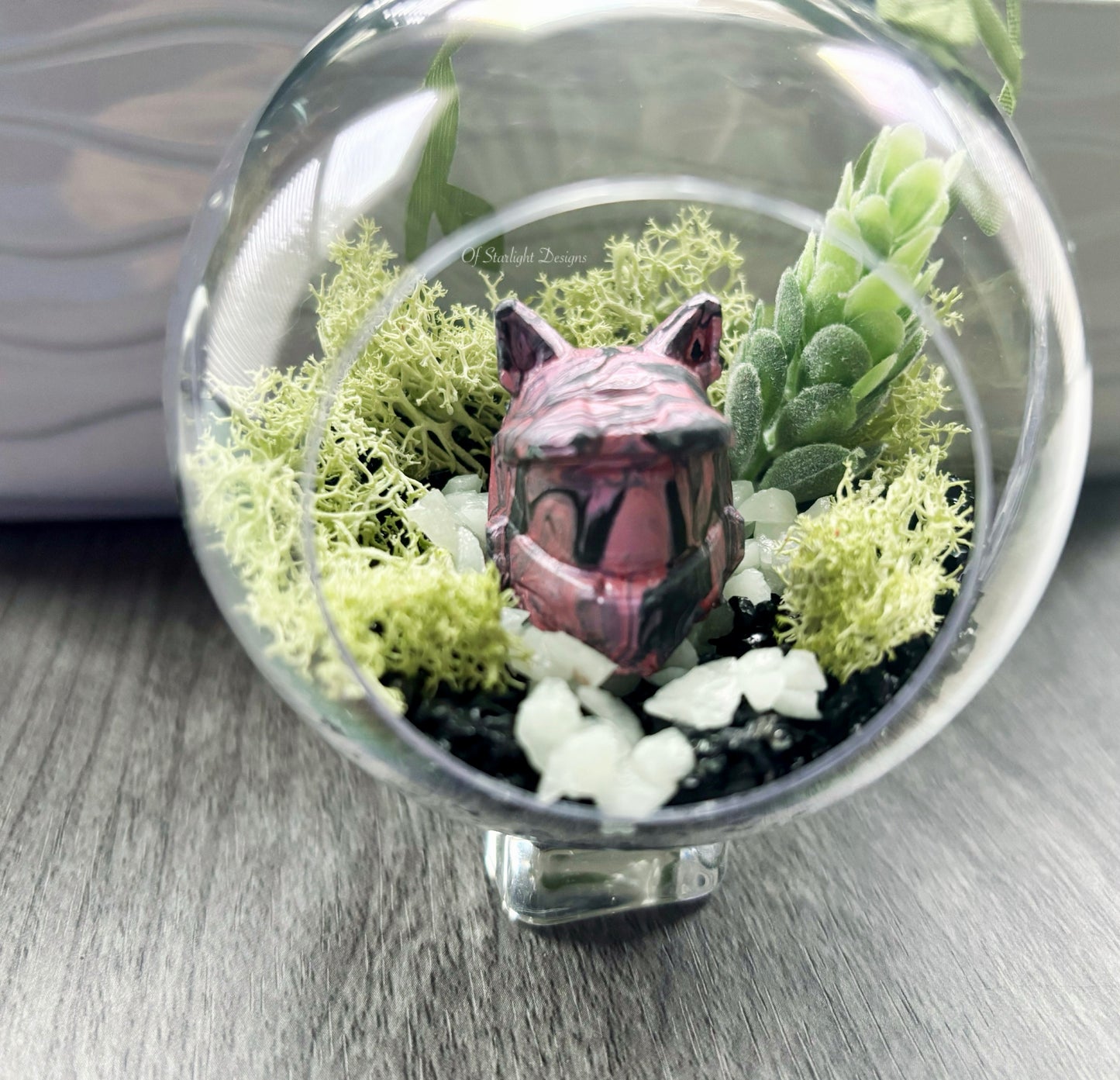Pink Meownir Succulent Orb