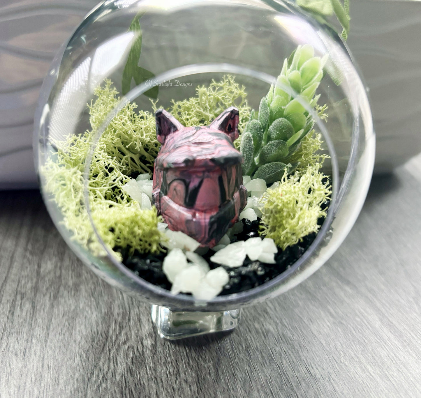 Pink Meownir Succulent Orb