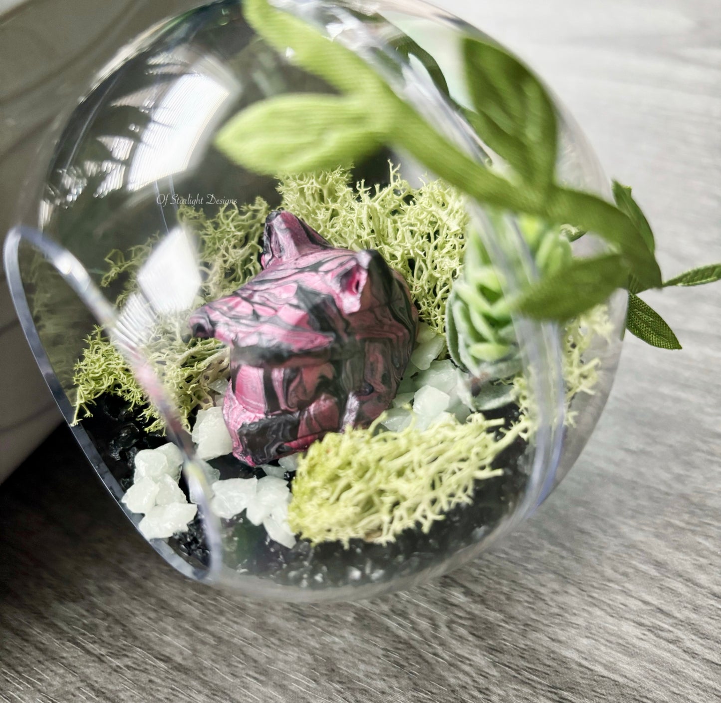 Pink Meownir Succulent Orb