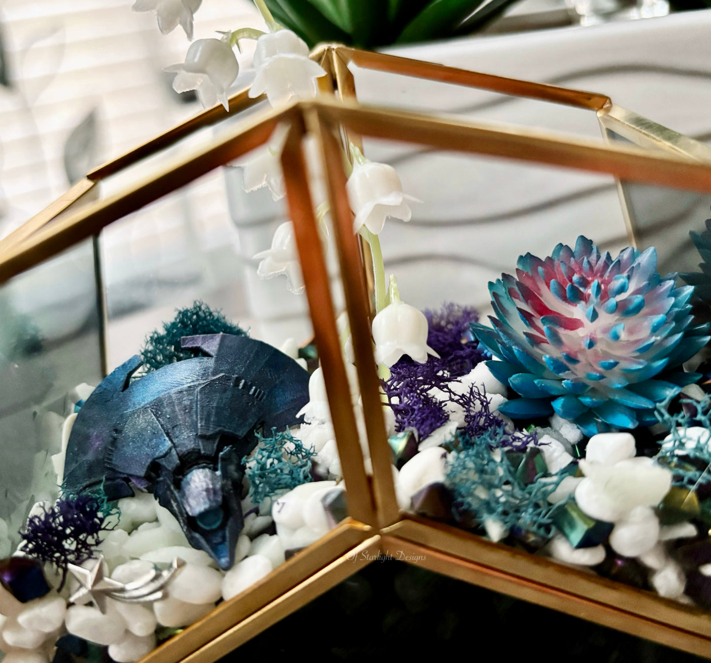 Vex Star Little Light Terrarium