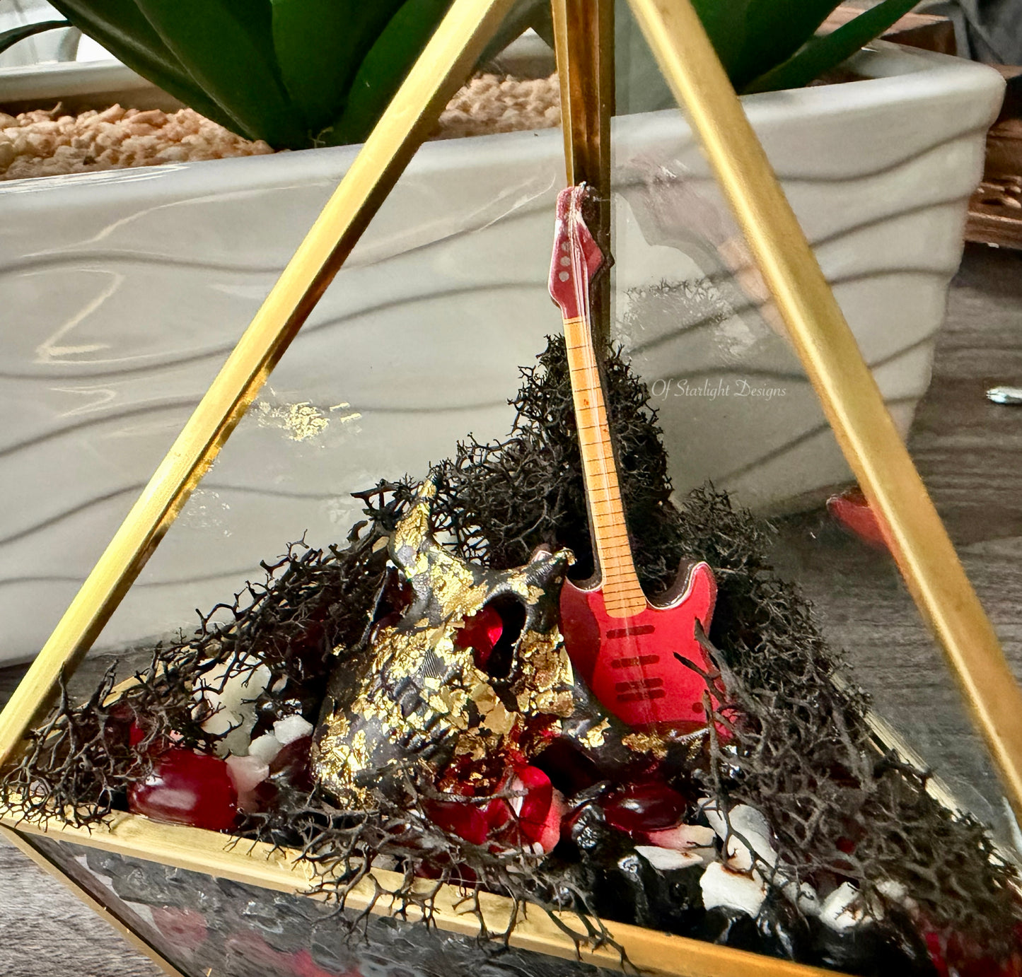 Evolution Triangle Terrarium