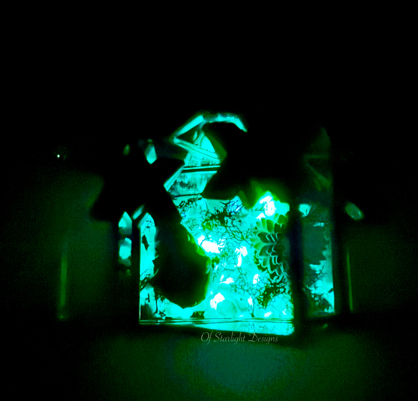 Cosmic Star Little Light Terrarium