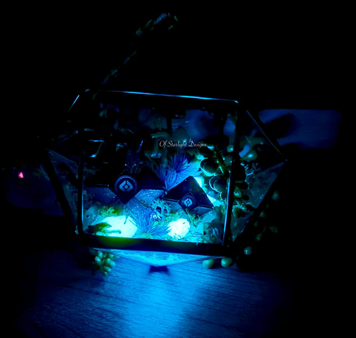 Hanging Venus Little Light Terrarium