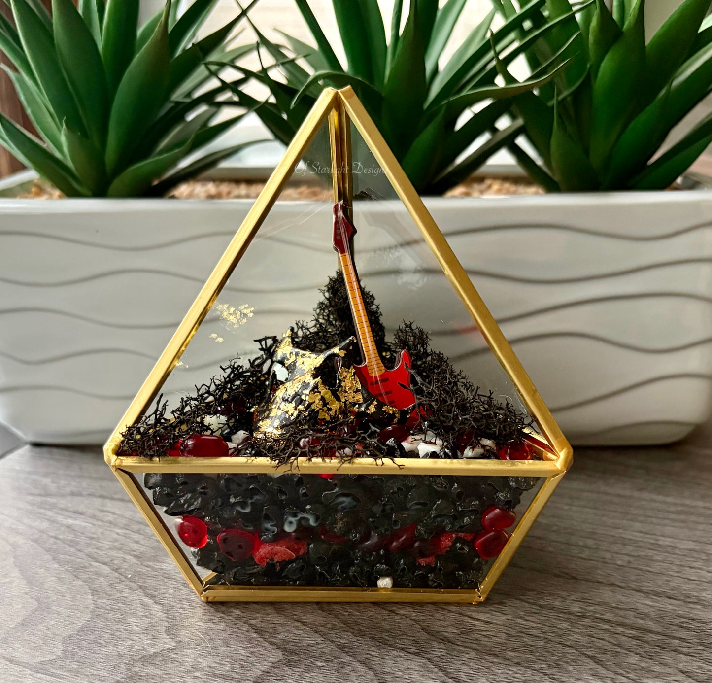 Evolution Triangle Terrarium