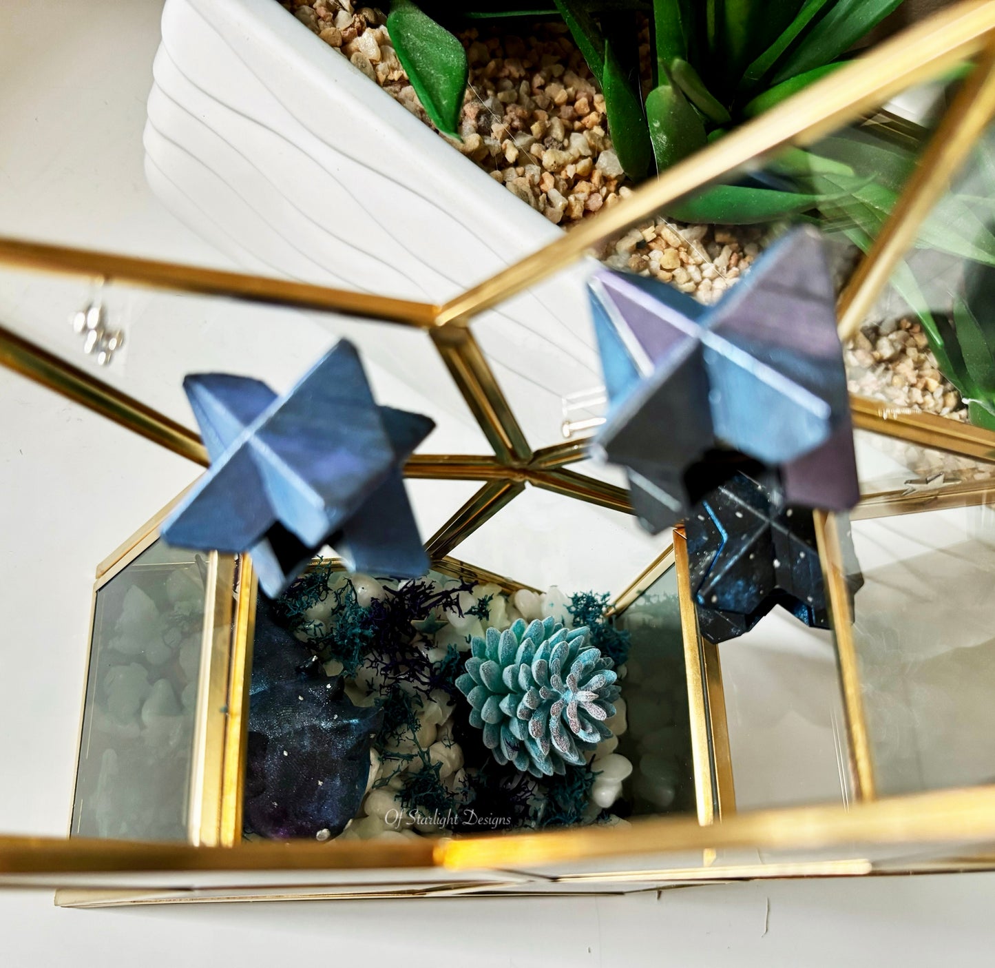 Cosmic Star Little Light Terrarium