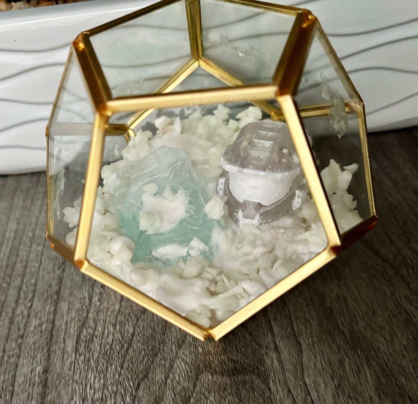 Winter Contingency MIA Terrarium