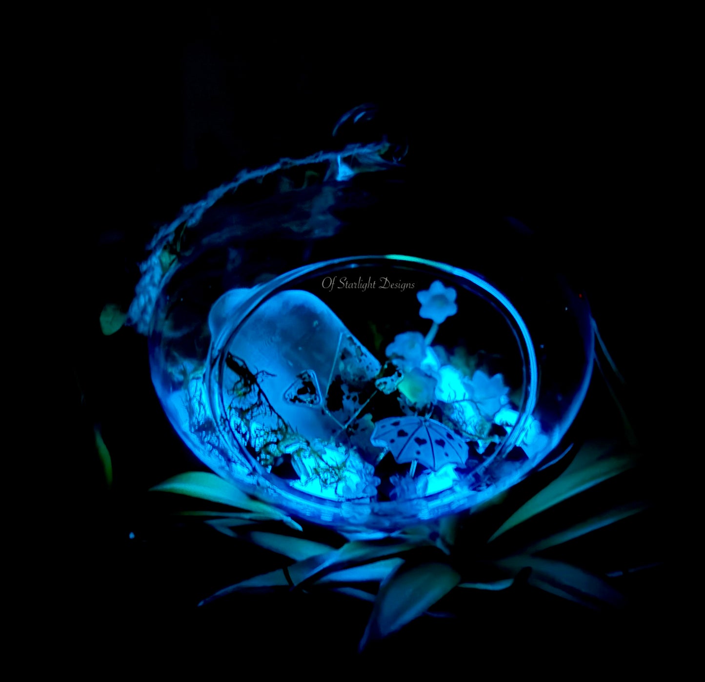 Rainy Terrarium