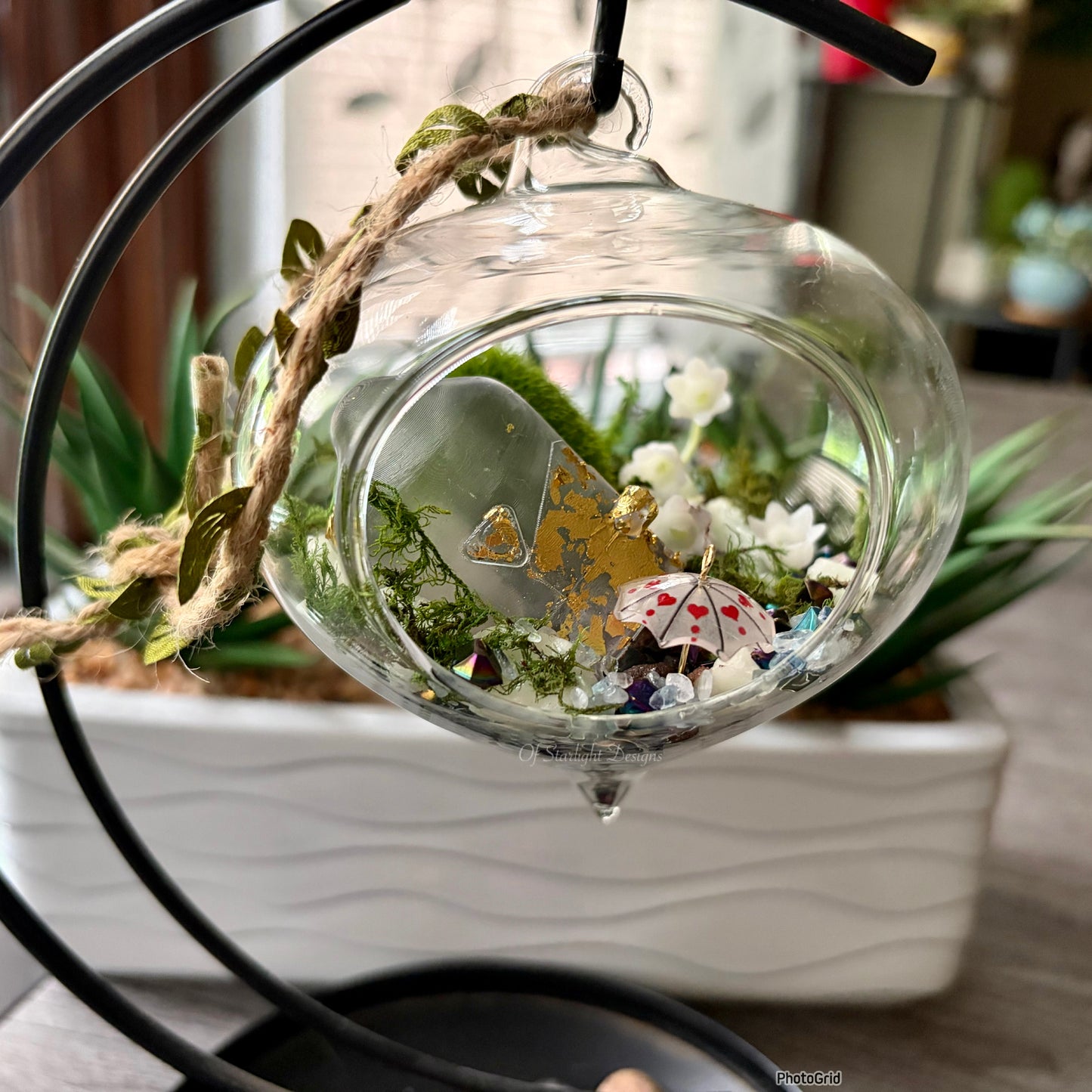 Rainy Terrarium