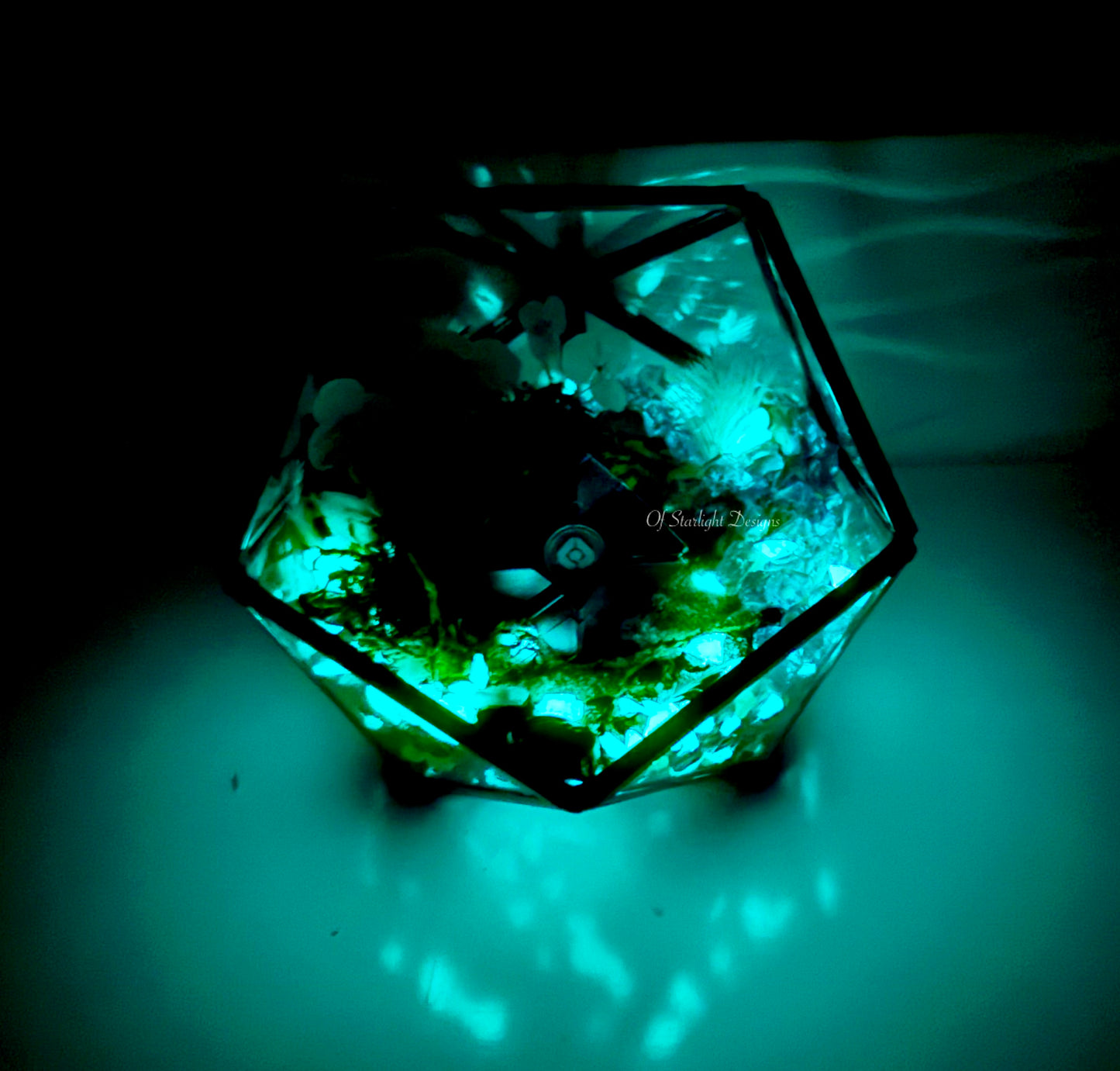 Pale Heart Glint Terrarium