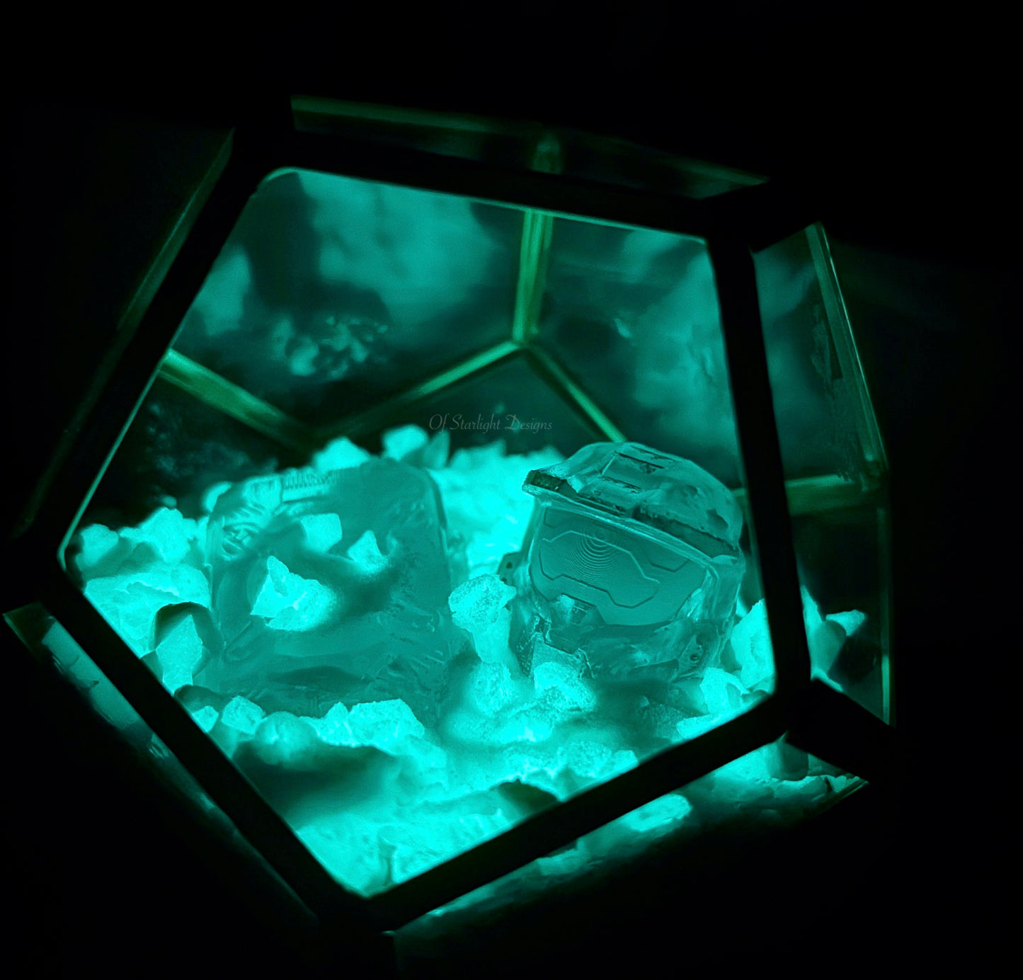 Winter Contingency MIA Terrarium