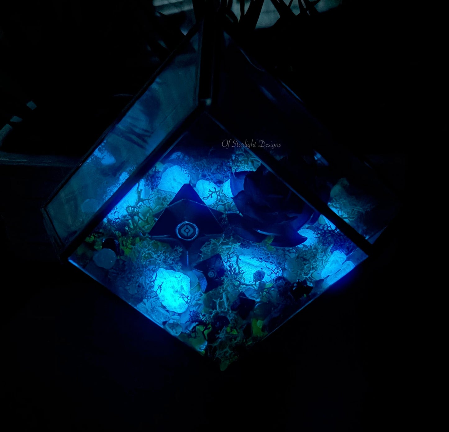 Hanging Dreaming Little Light Terrarium