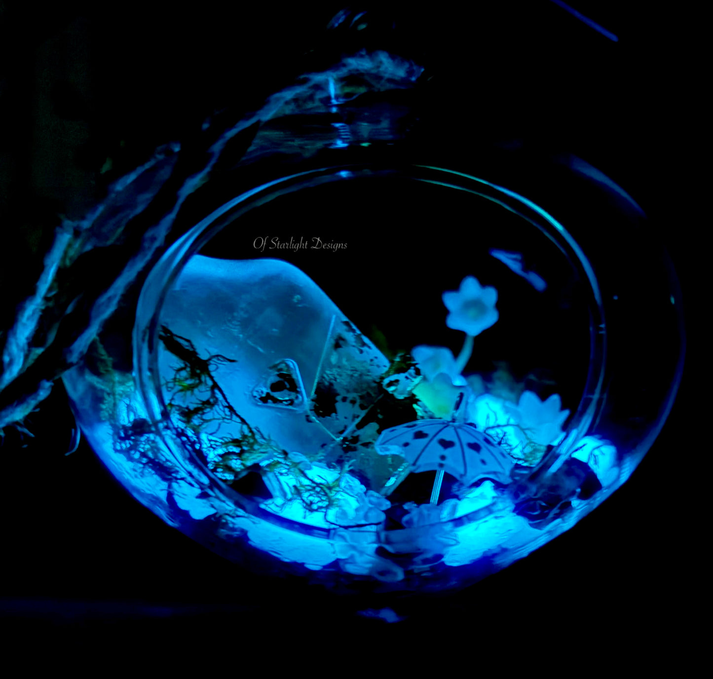 Rainy Terrarium
