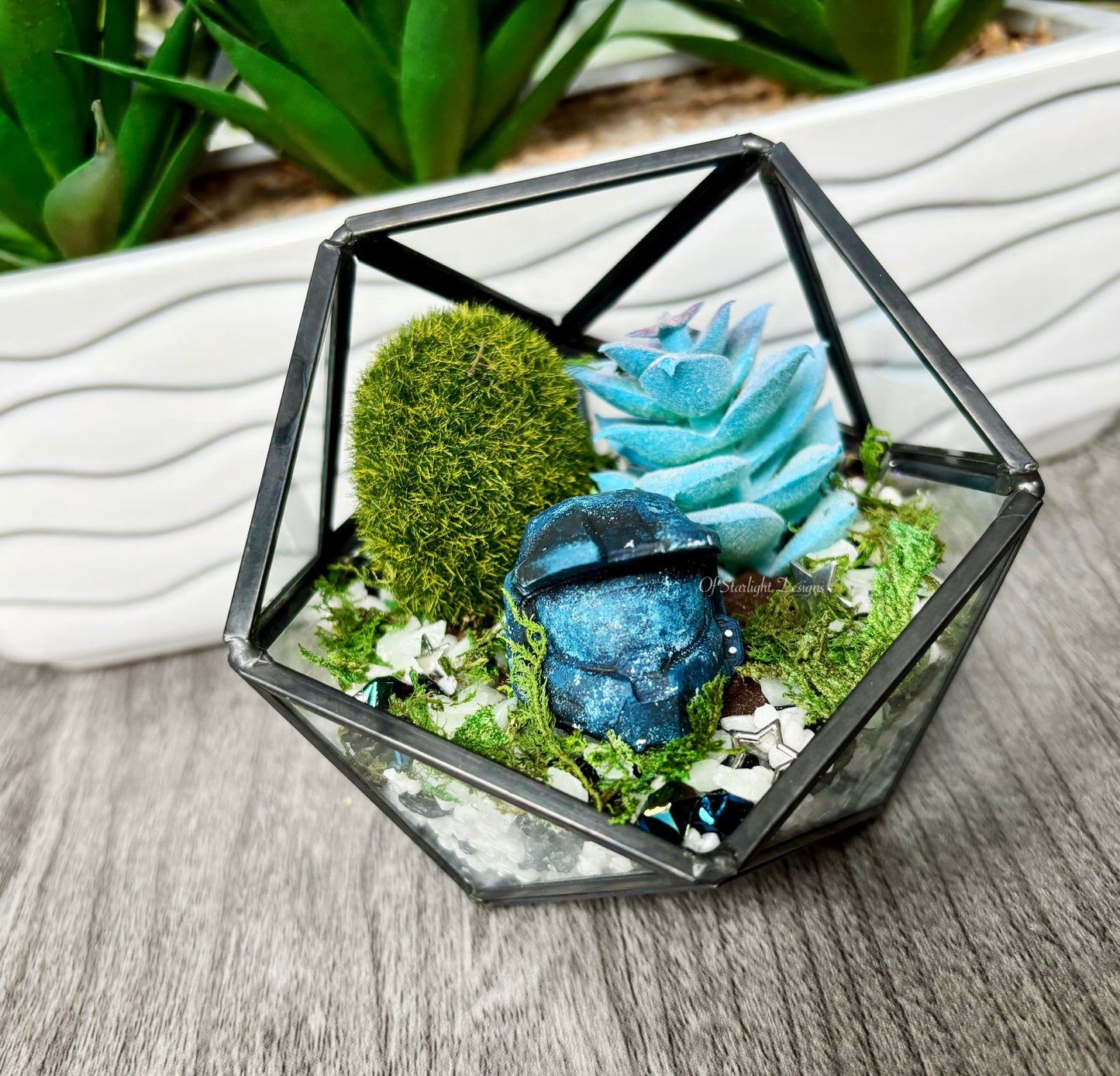 Space MIA Terrarium
