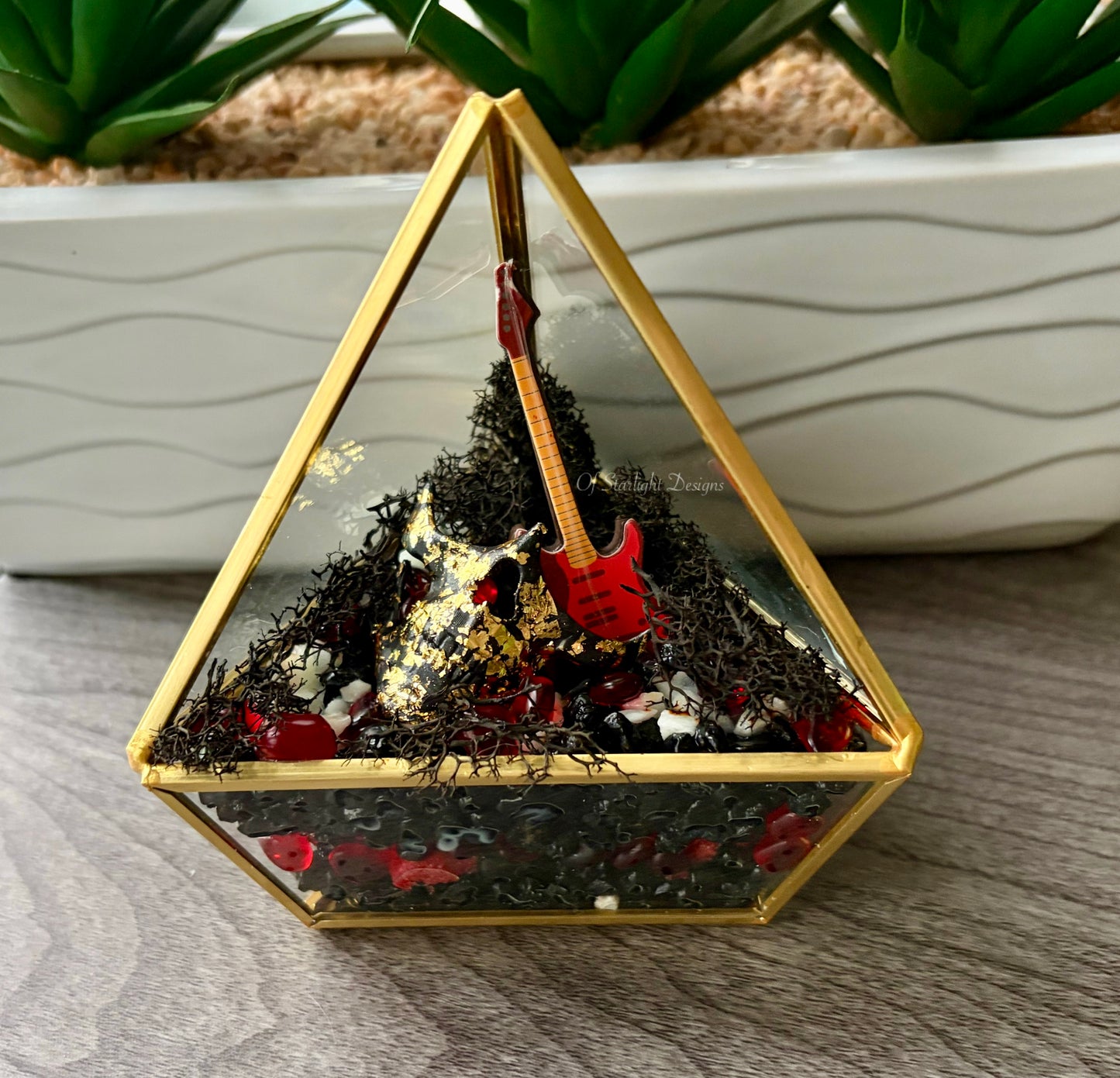 Evolution Triangle Terrarium