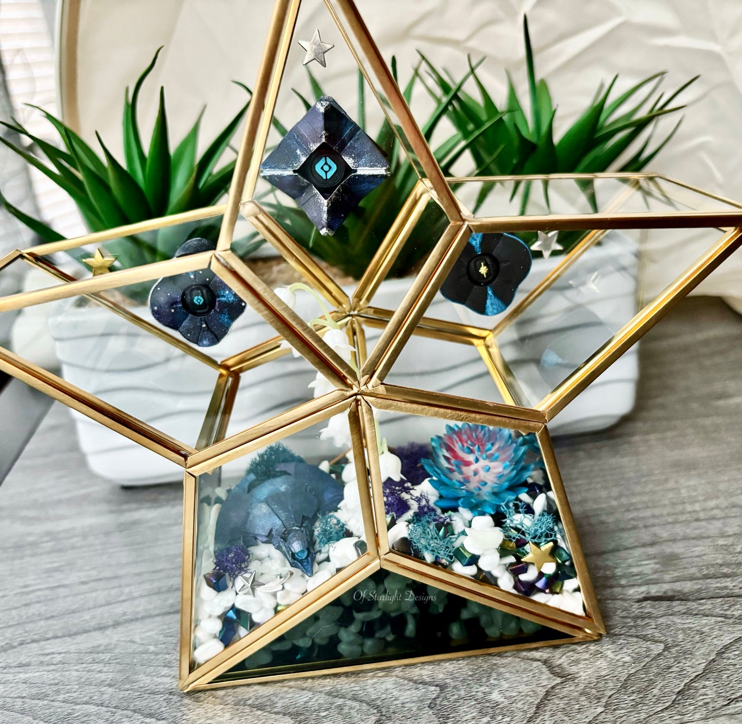 Vex Star Little Light Terrarium