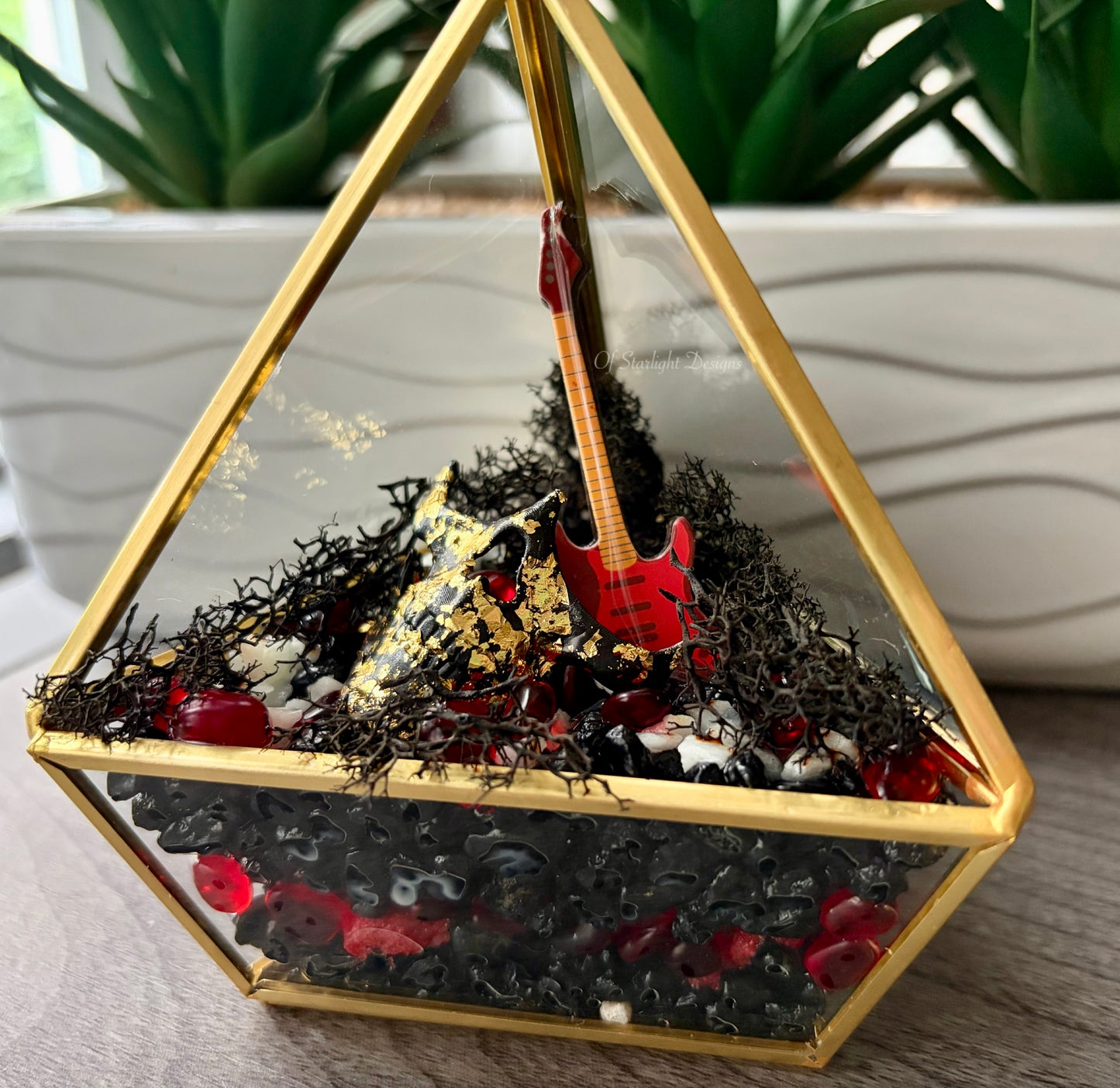 Evolution Triangle Terrarium