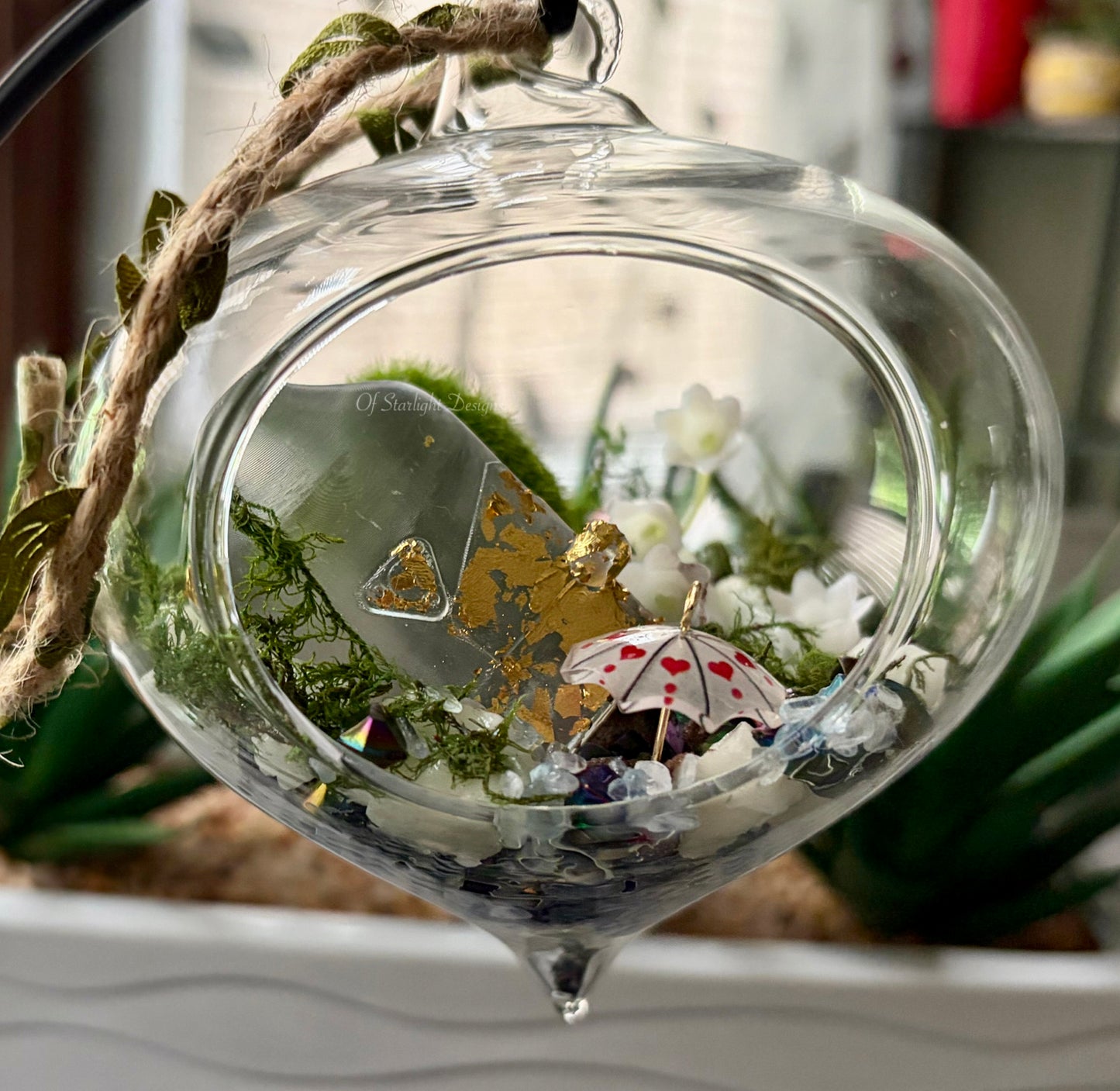 Rainy Terrarium