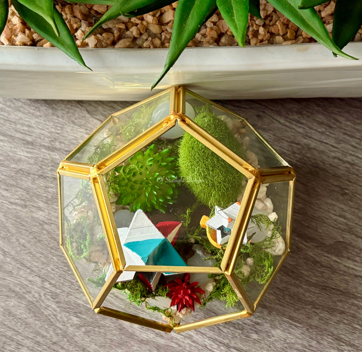 Victory Little Light Terrarium