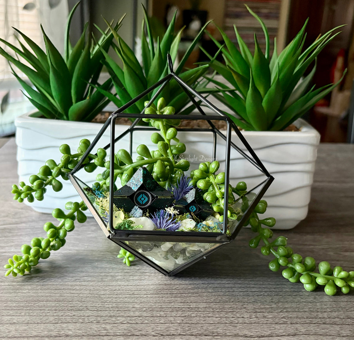 Hanging Venus Little Light Terrarium