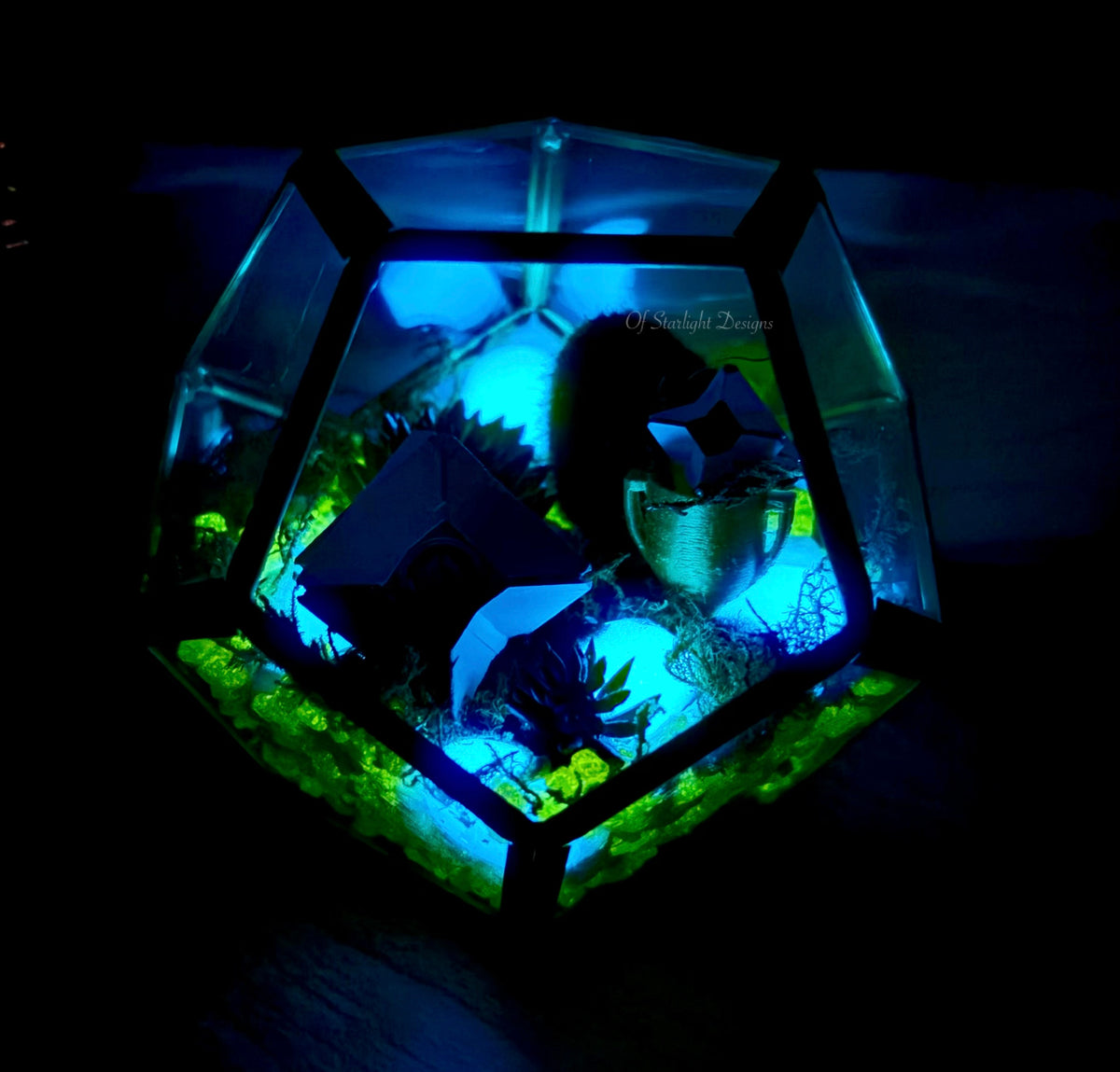 Victory Little Light Terrarium