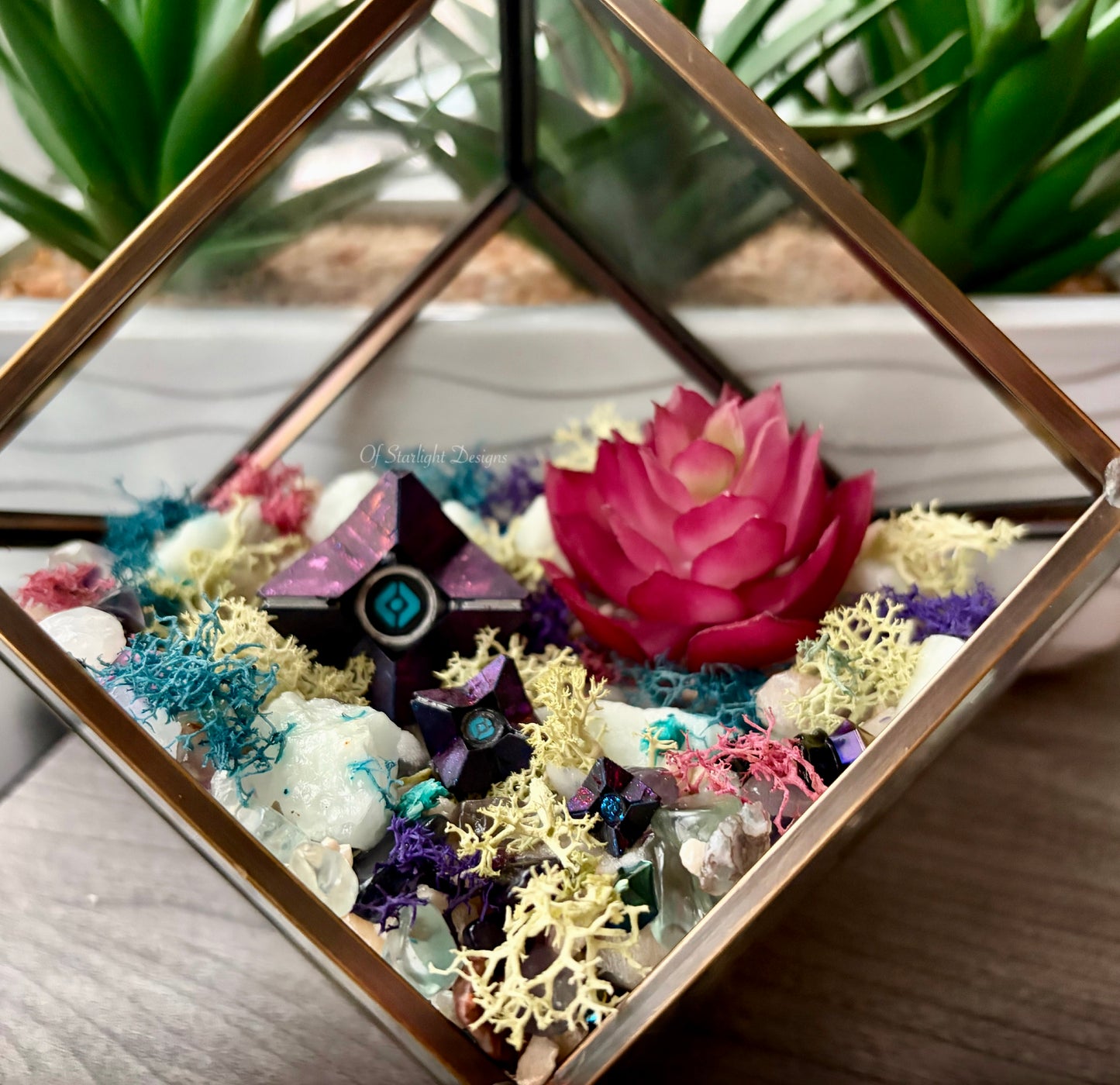 Hanging Dreaming Little Light Terrarium