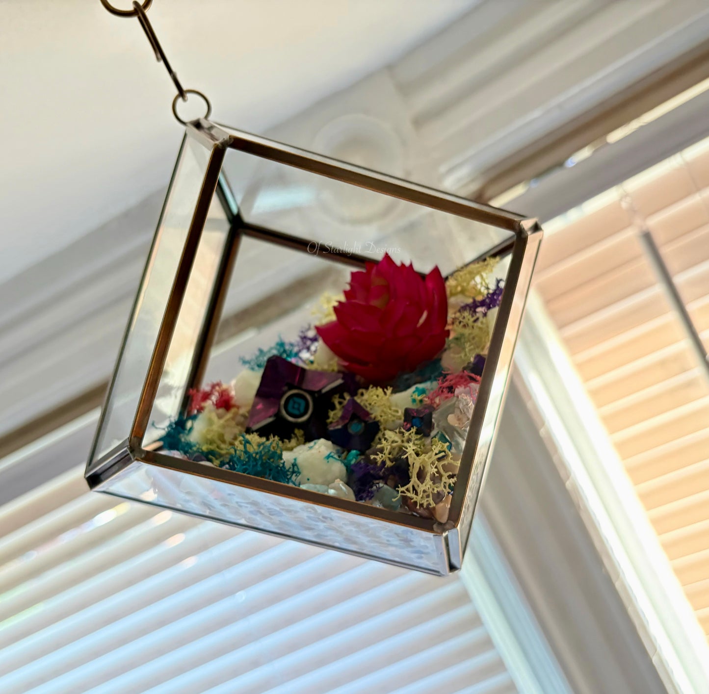 Hanging Dreaming Little Light Terrarium
