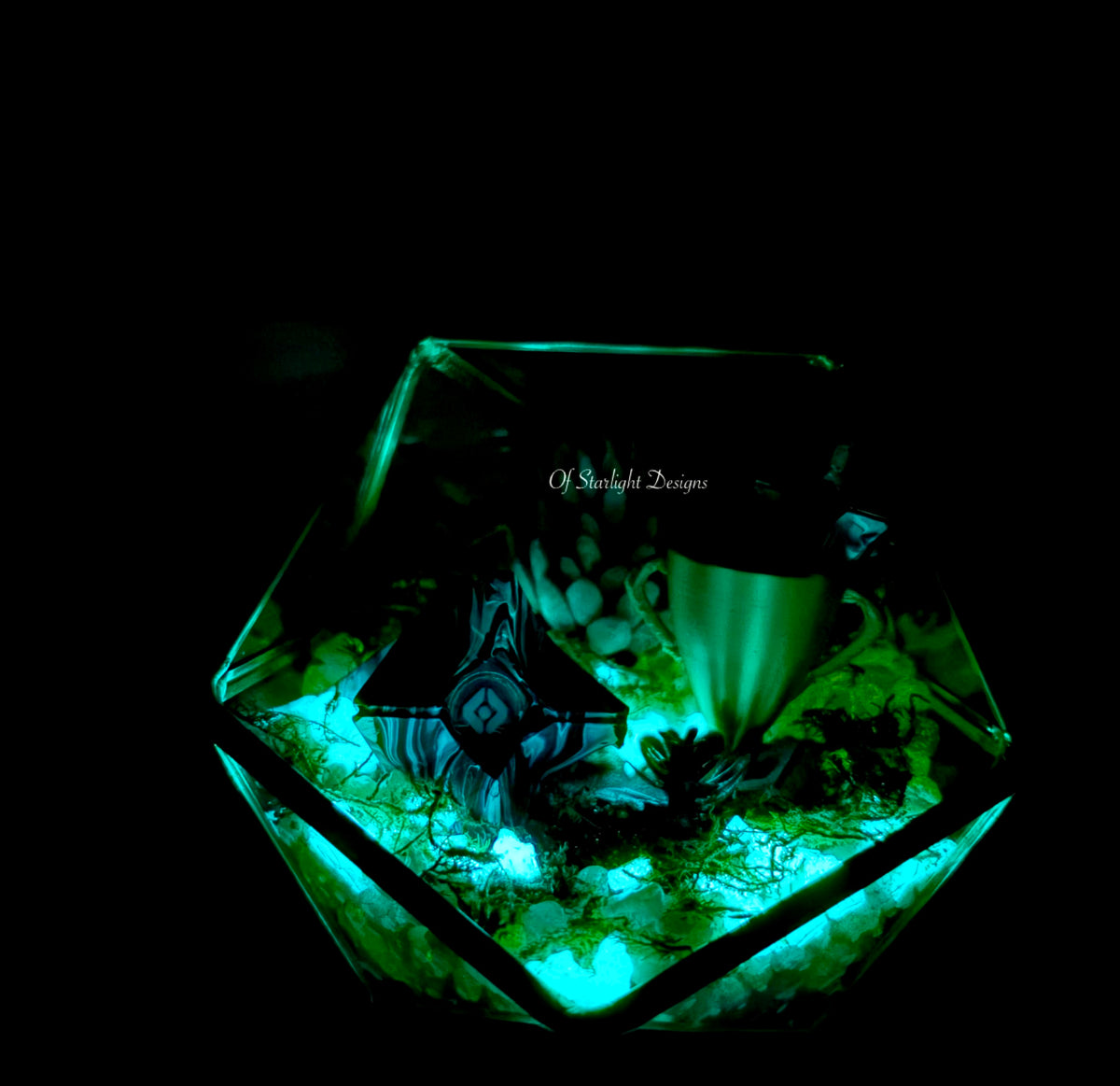 "Melting" Victory Little Light Terrarium