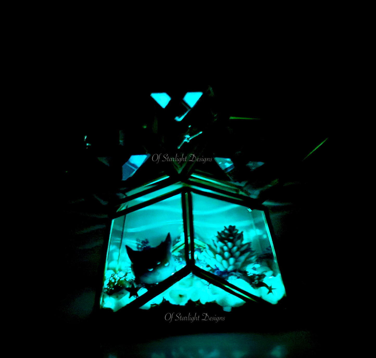 Cosmic Star Little Light Terrarium