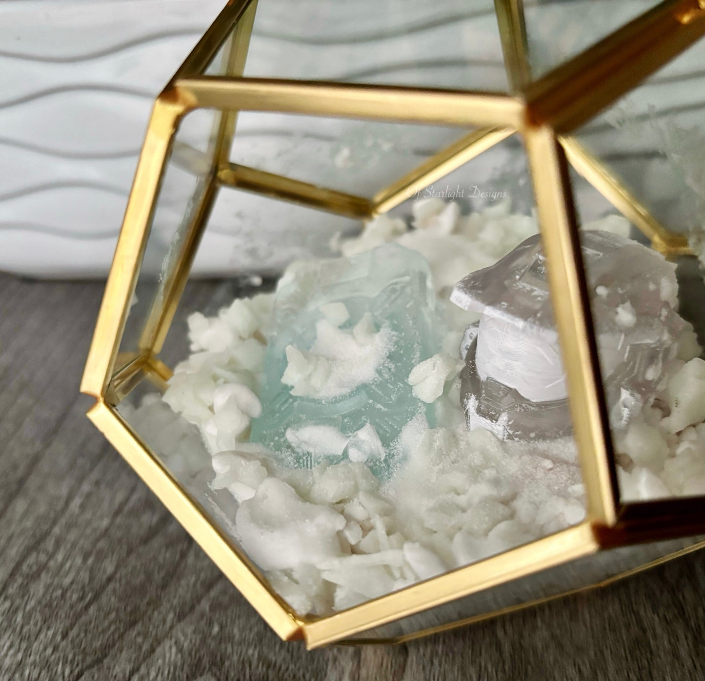 Winter Contingency MIA Terrarium