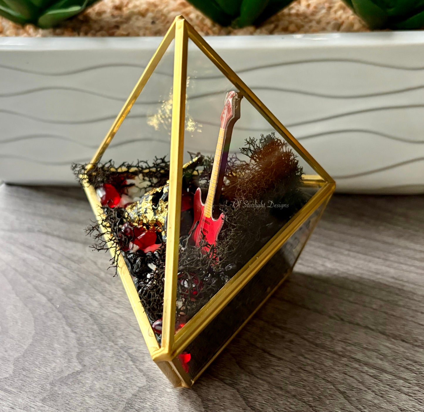 Evolution Triangle Terrarium