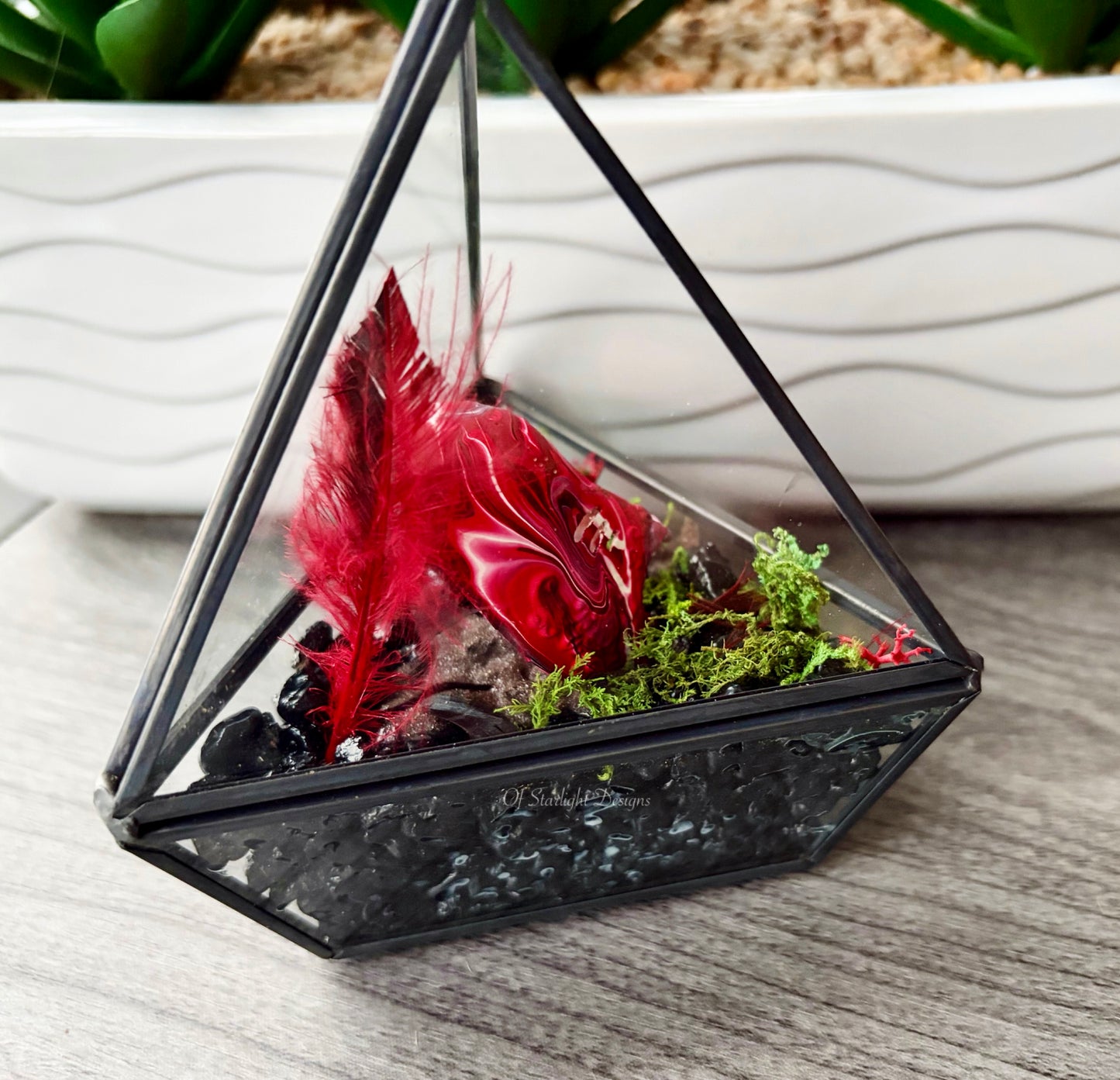 Melting Sleep Triangle Terrarium