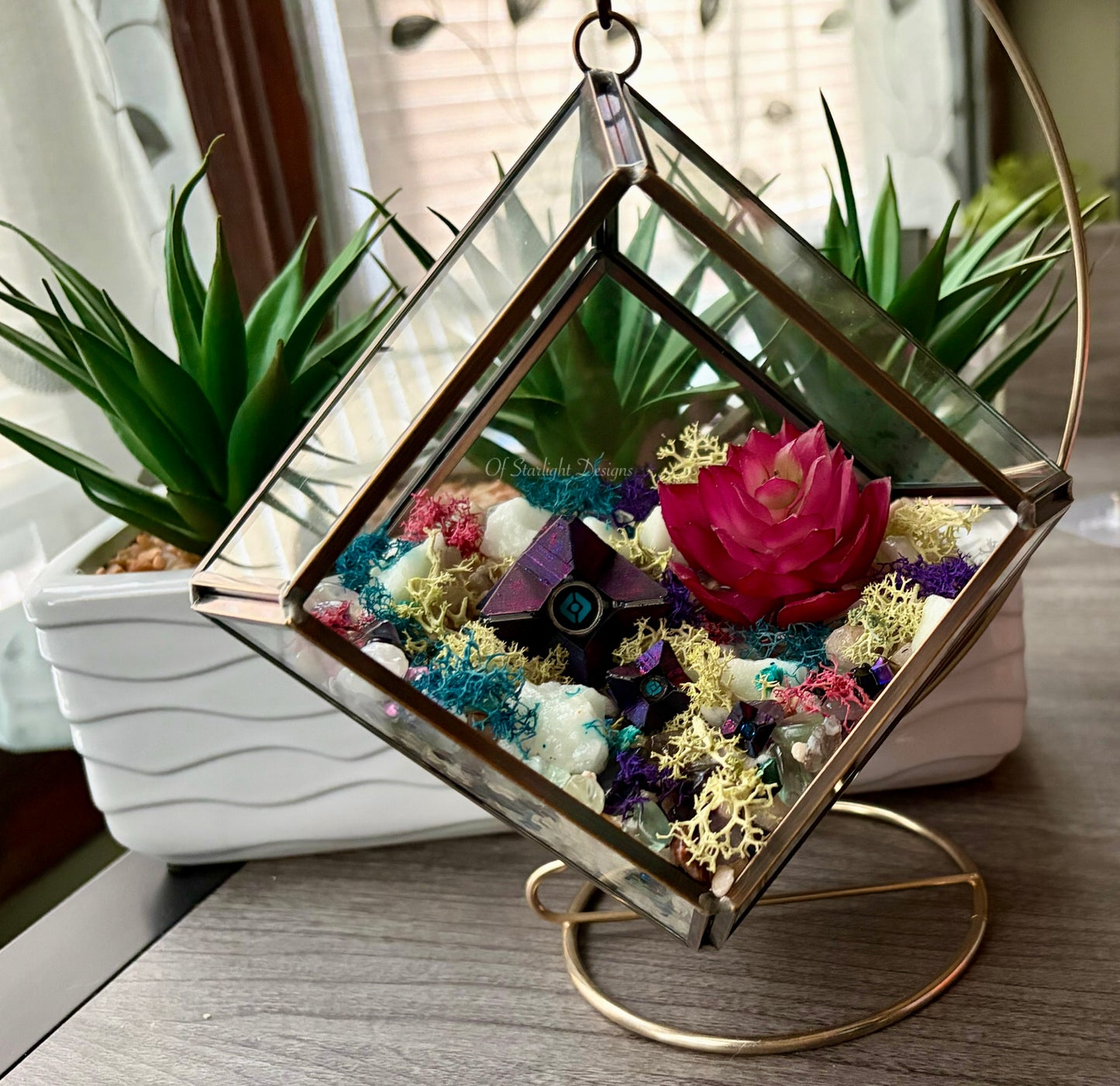 Hanging Dreaming Little Light Terrarium