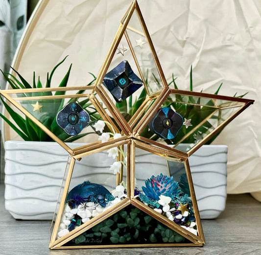 Vex Star Little Light Terrarium