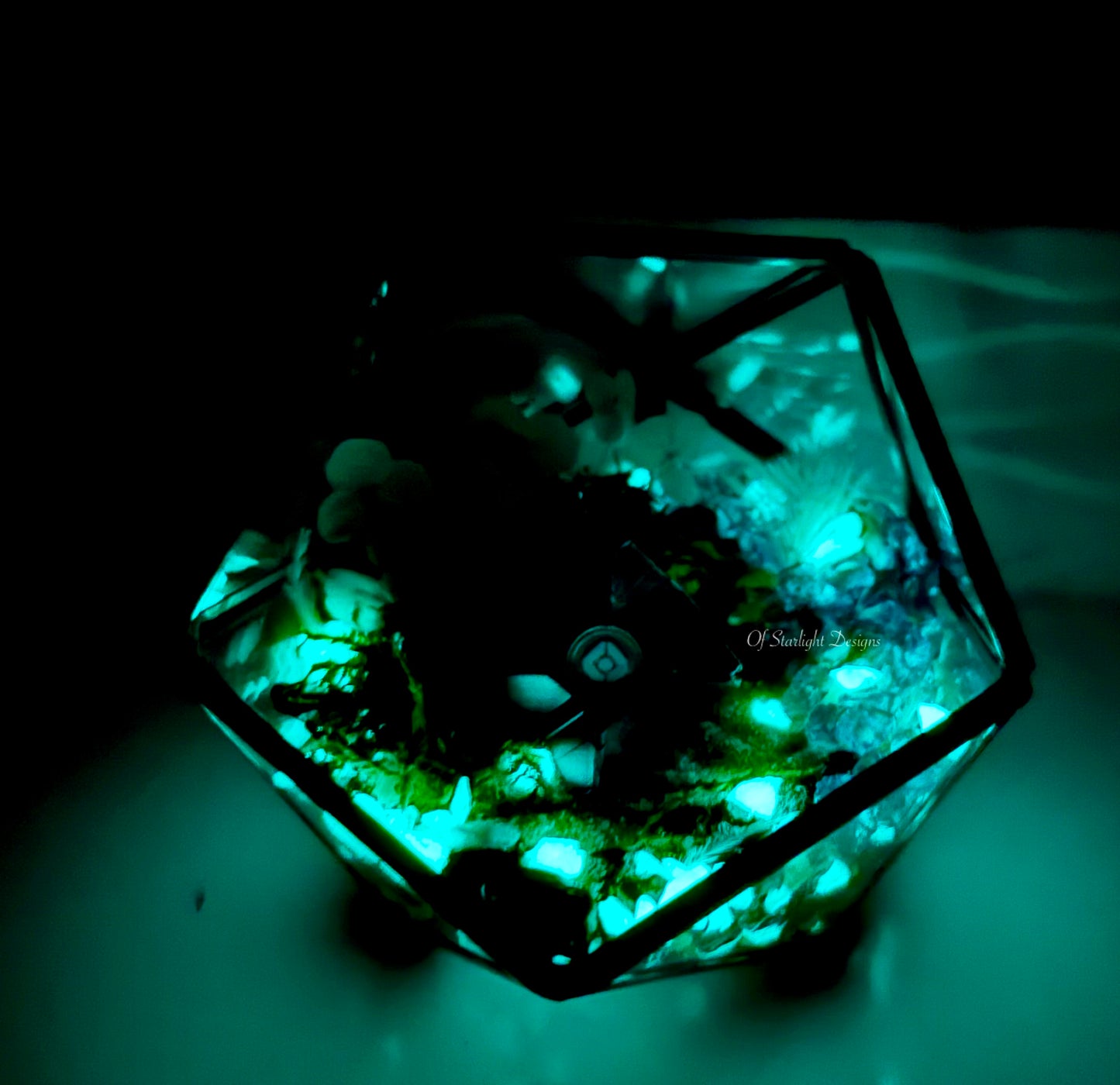 Pale Heart Glint Terrarium