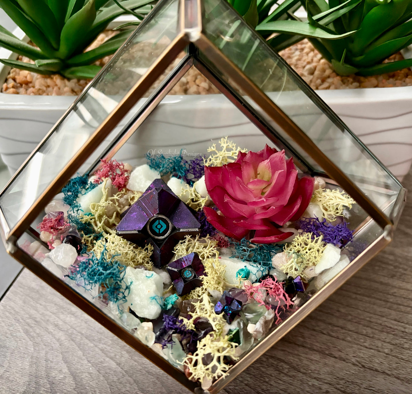 Hanging Dreaming Little Light Terrarium
