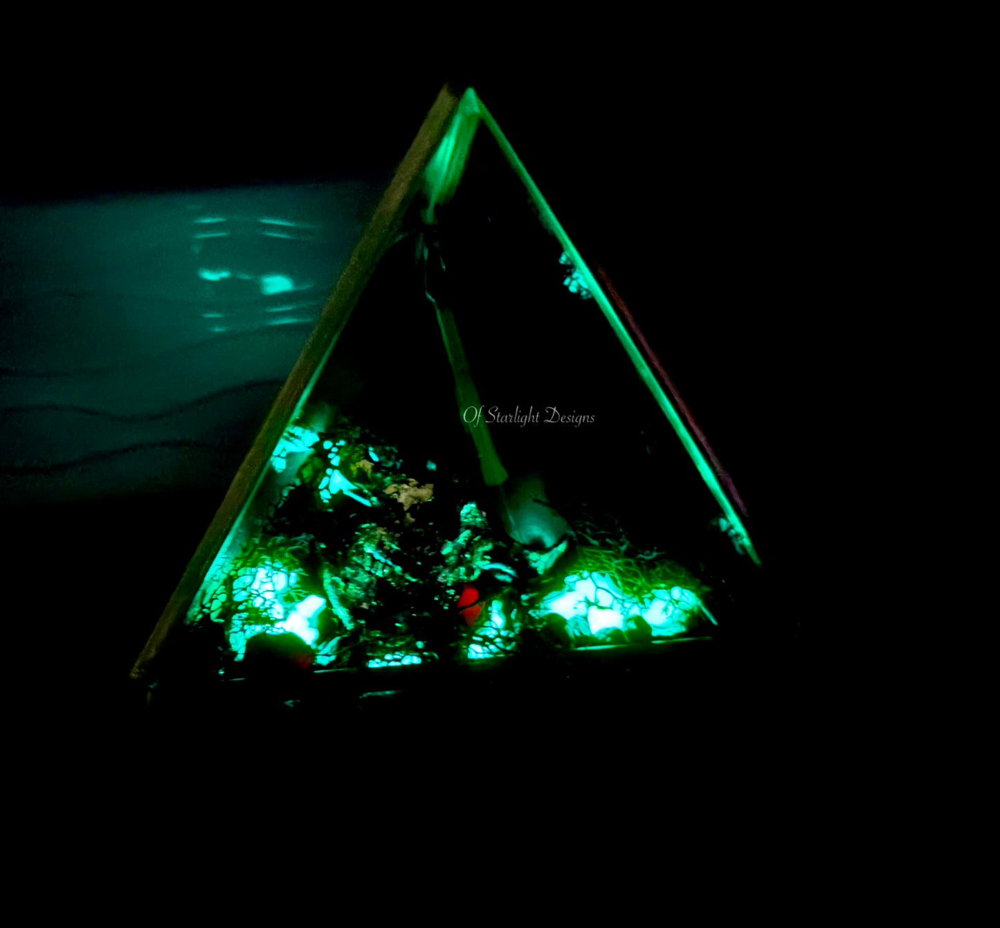 Evolution Triangle Terrarium