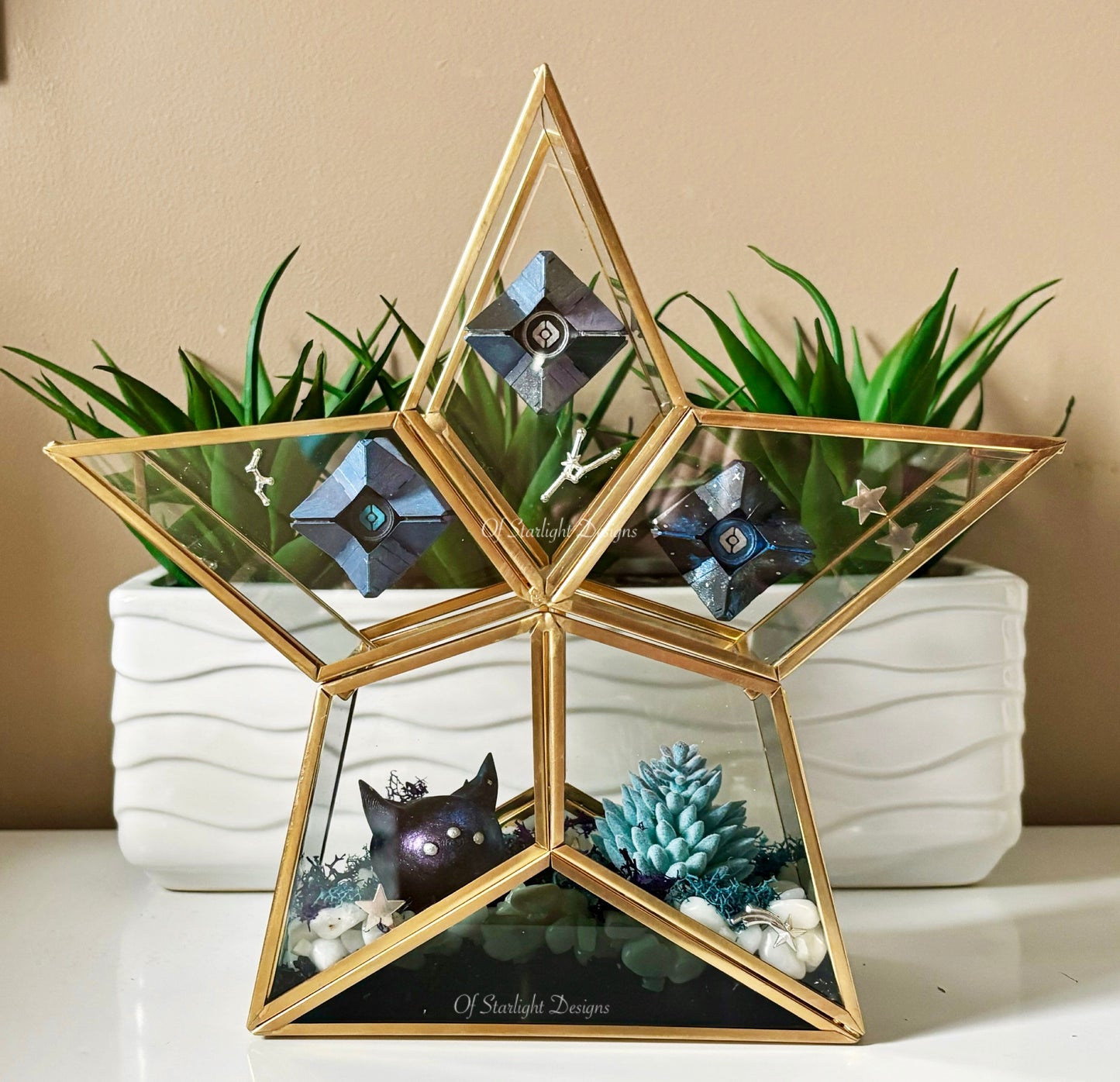 Cosmic Star Little Light Terrarium