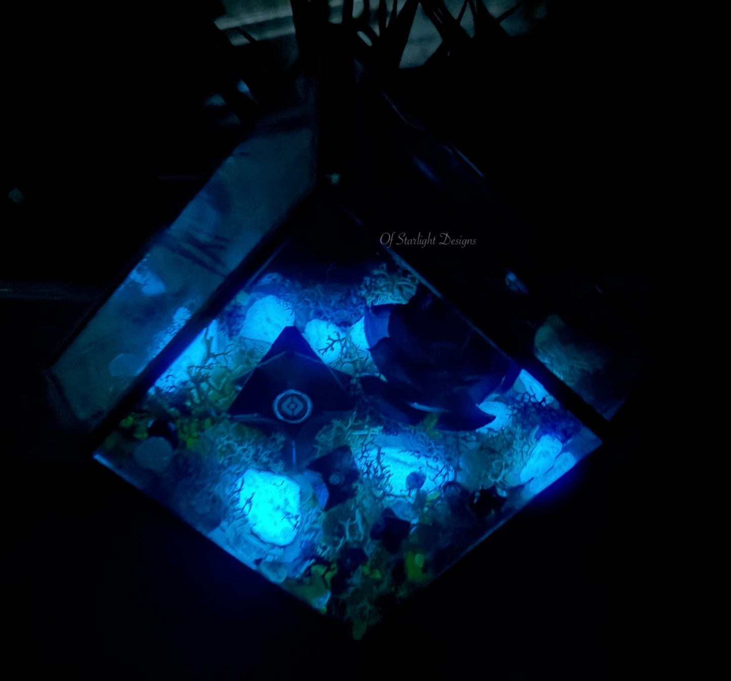 Hanging Dreaming Little Light Terrarium
