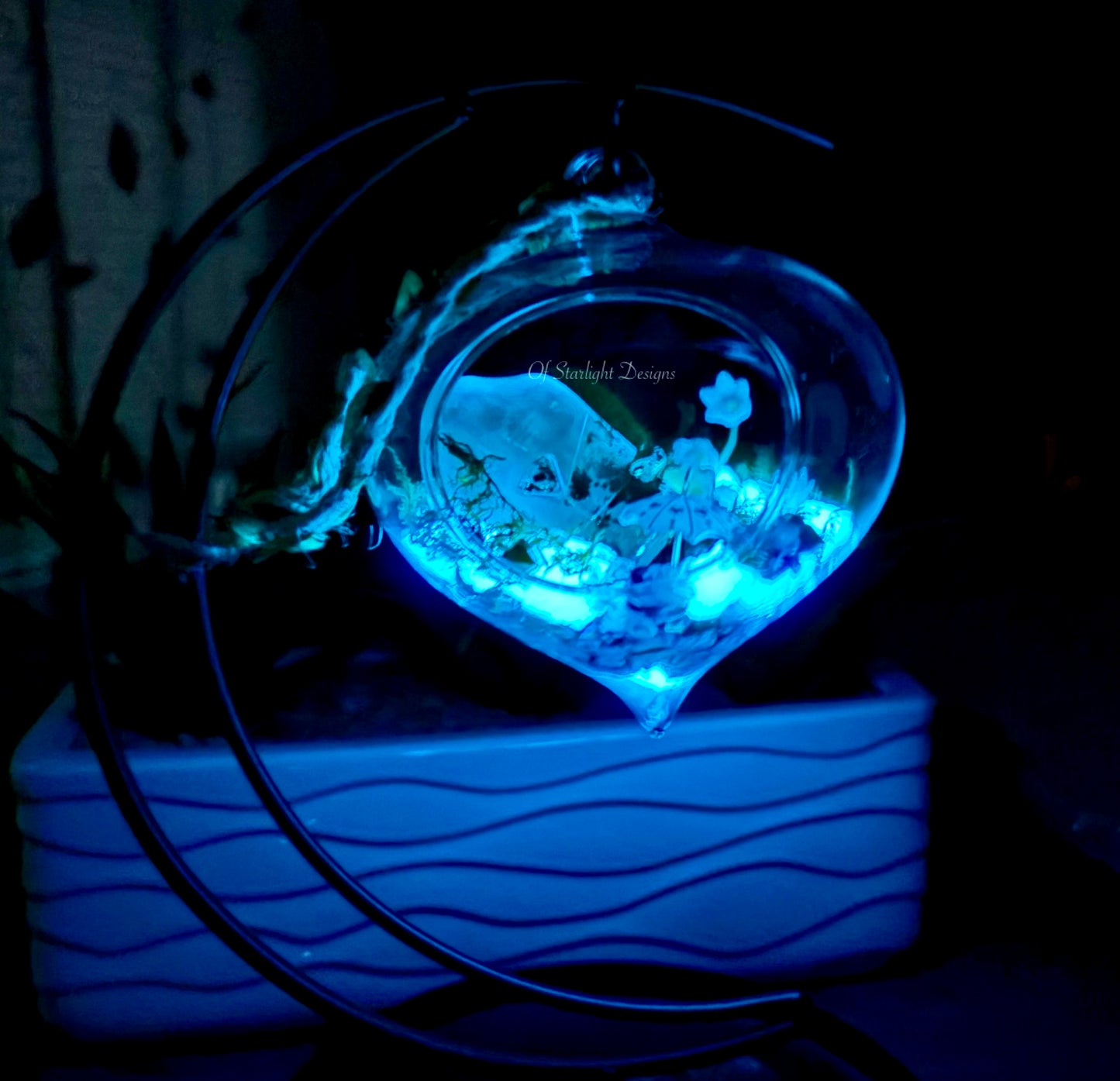 Rainy Terrarium