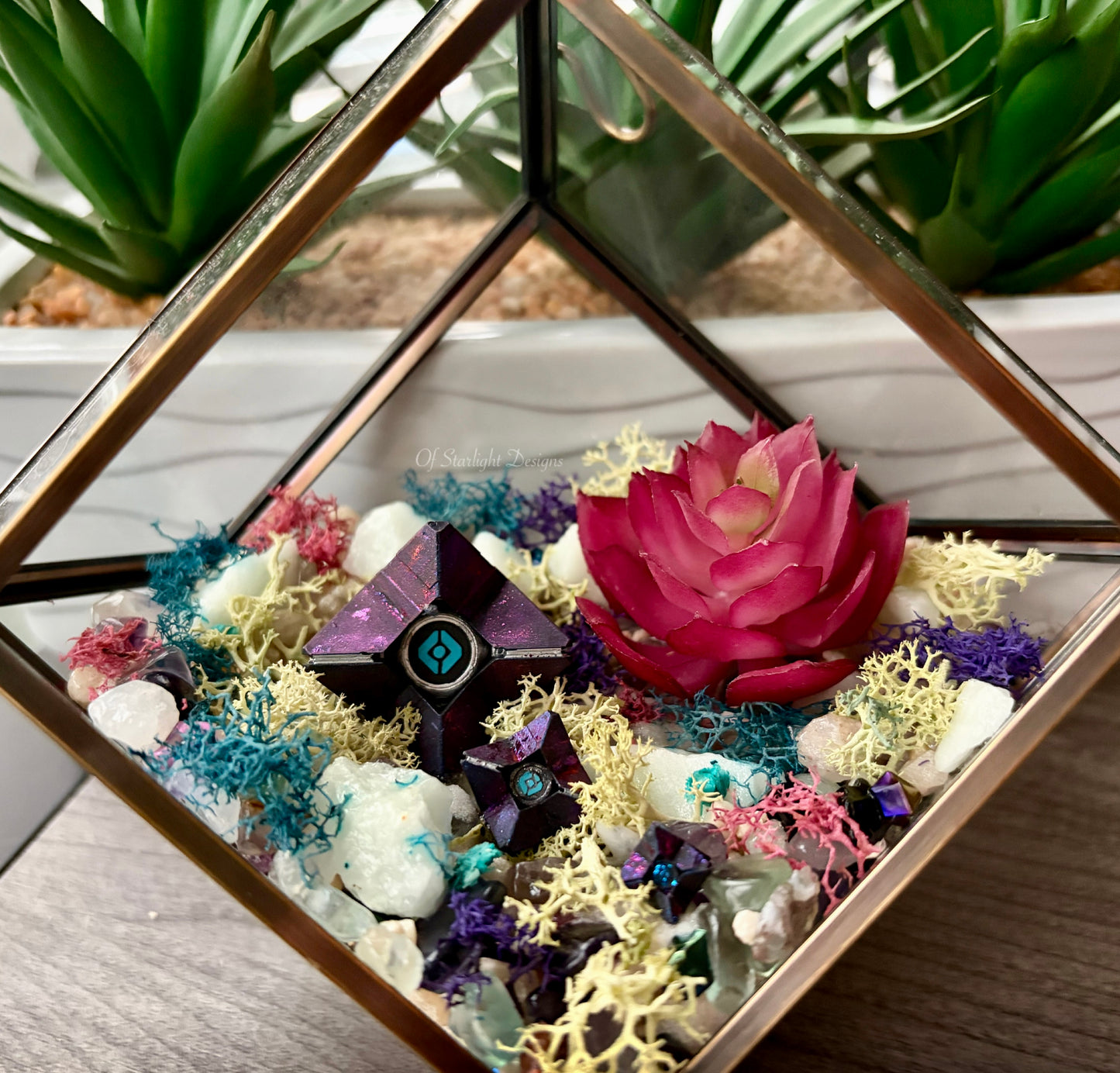 Hanging Dreaming Little Light Terrarium