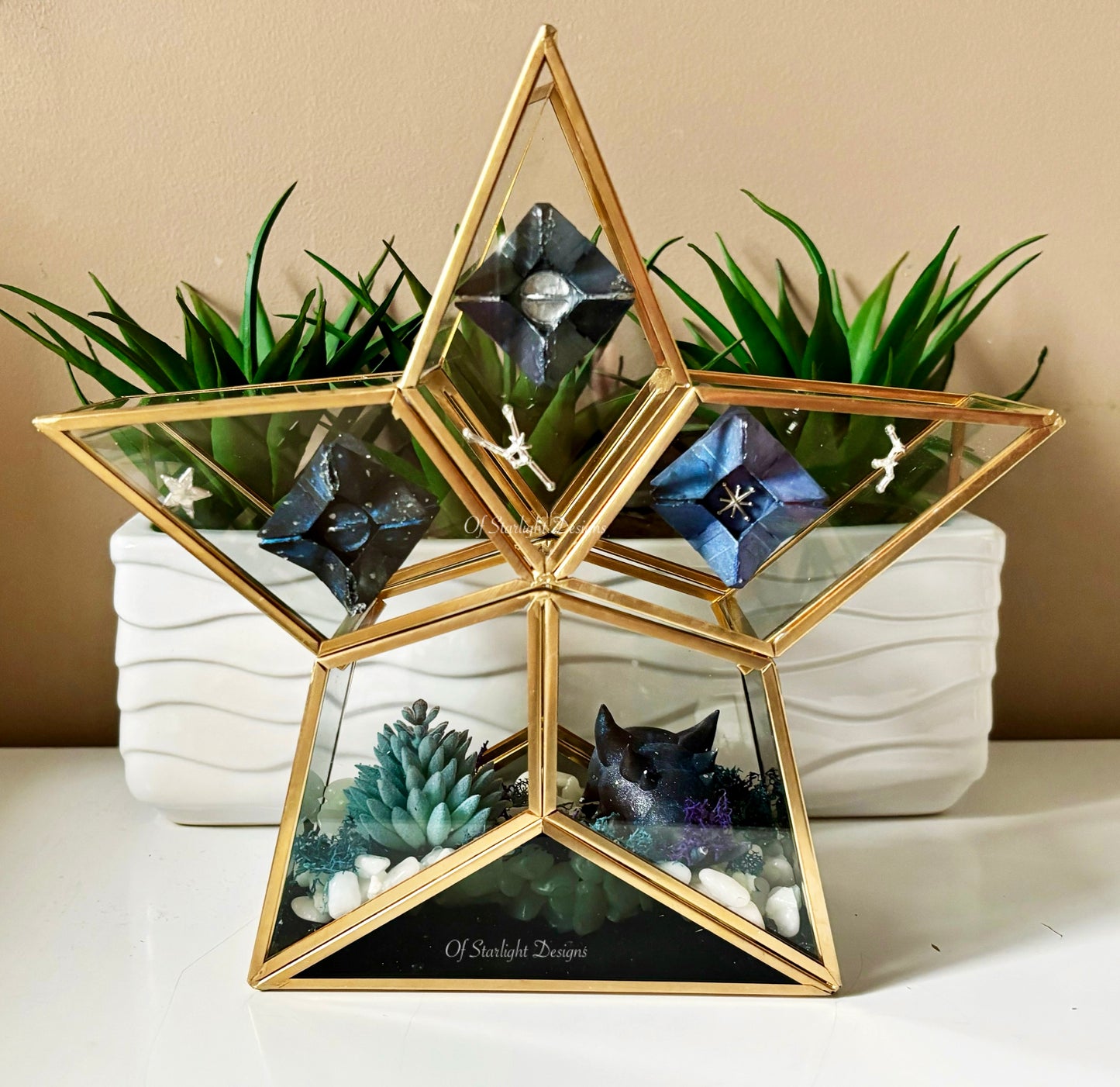 Cosmic Star Little Light Terrarium