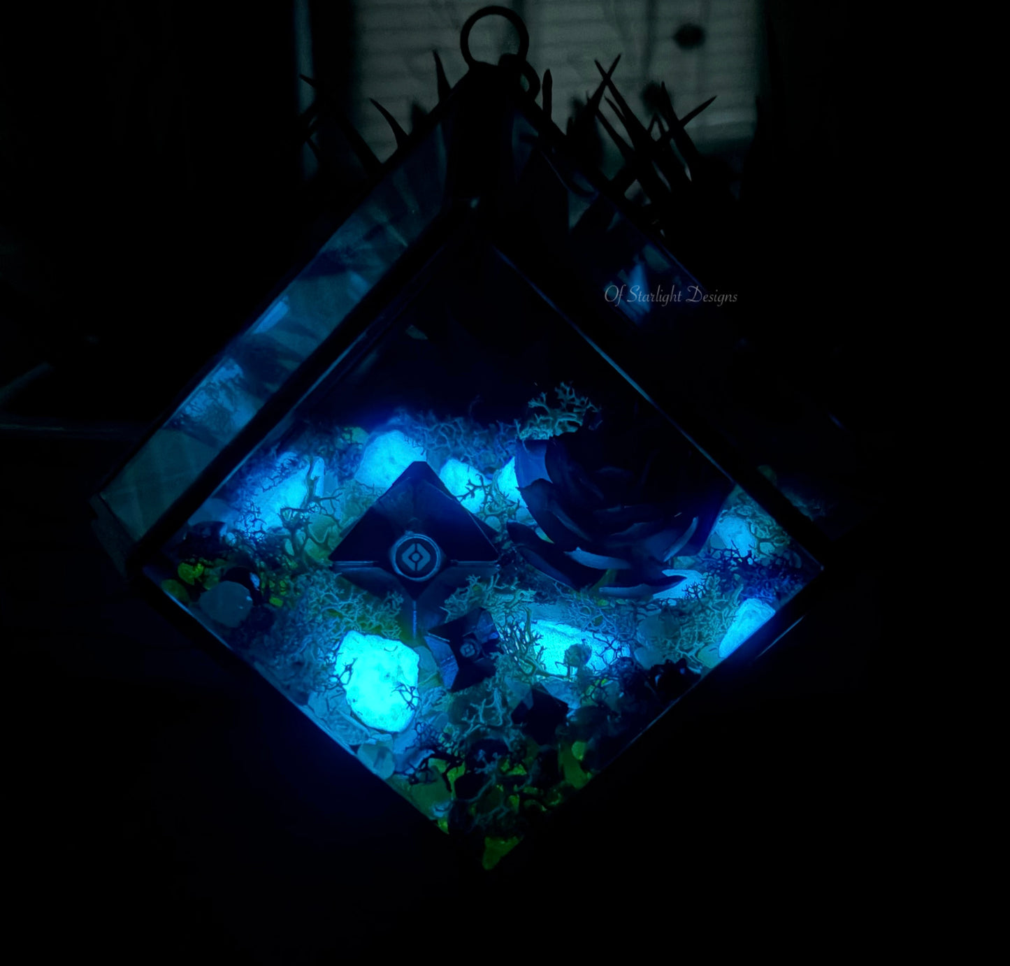 Hanging Dreaming Little Light Terrarium