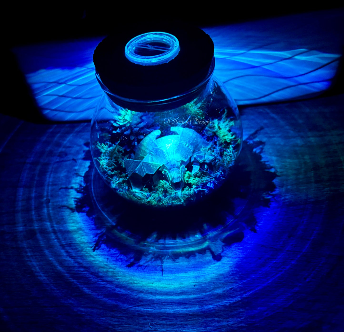 Black Garden Light Light Orb