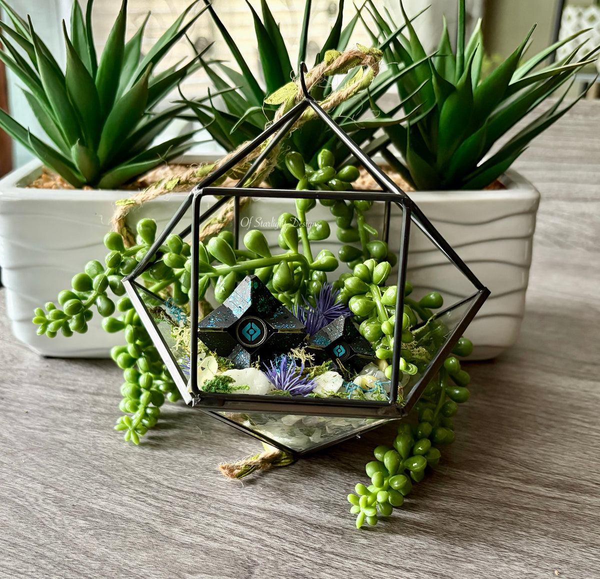 Hanging Venus Little Light Terrarium