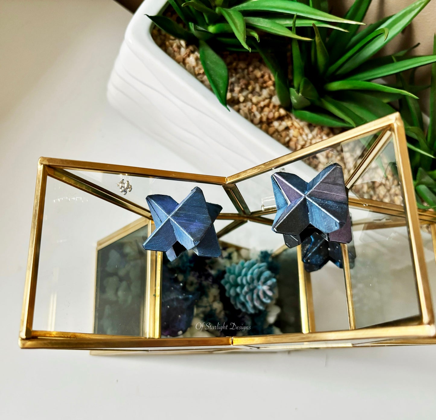 Cosmic Star Little Light Terrarium