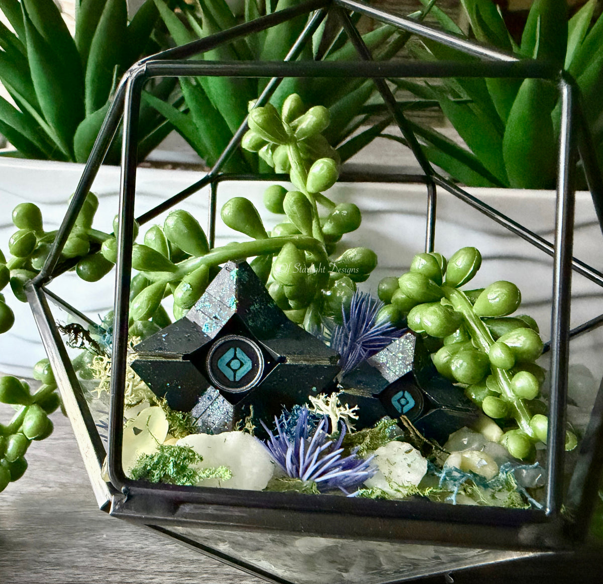 Hanging Venus Little Light Terrarium