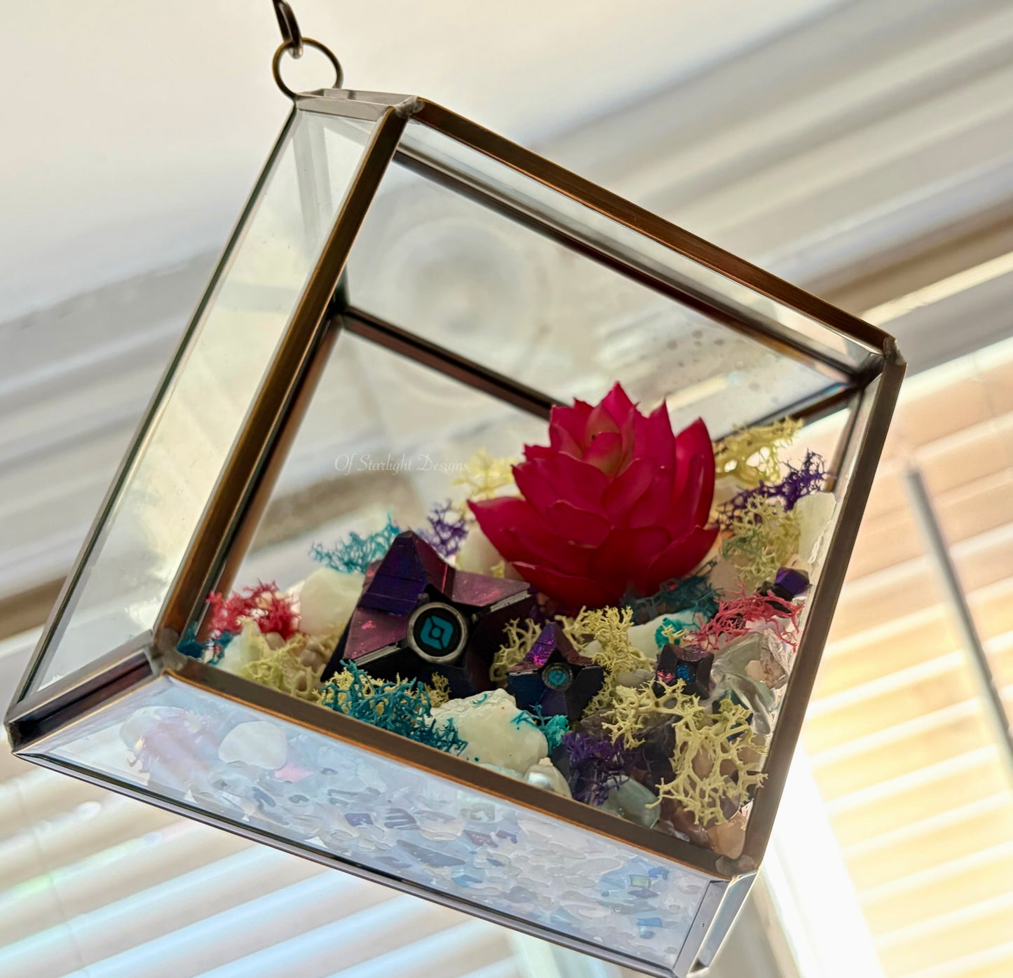 Hanging Dreaming Little Light Terrarium