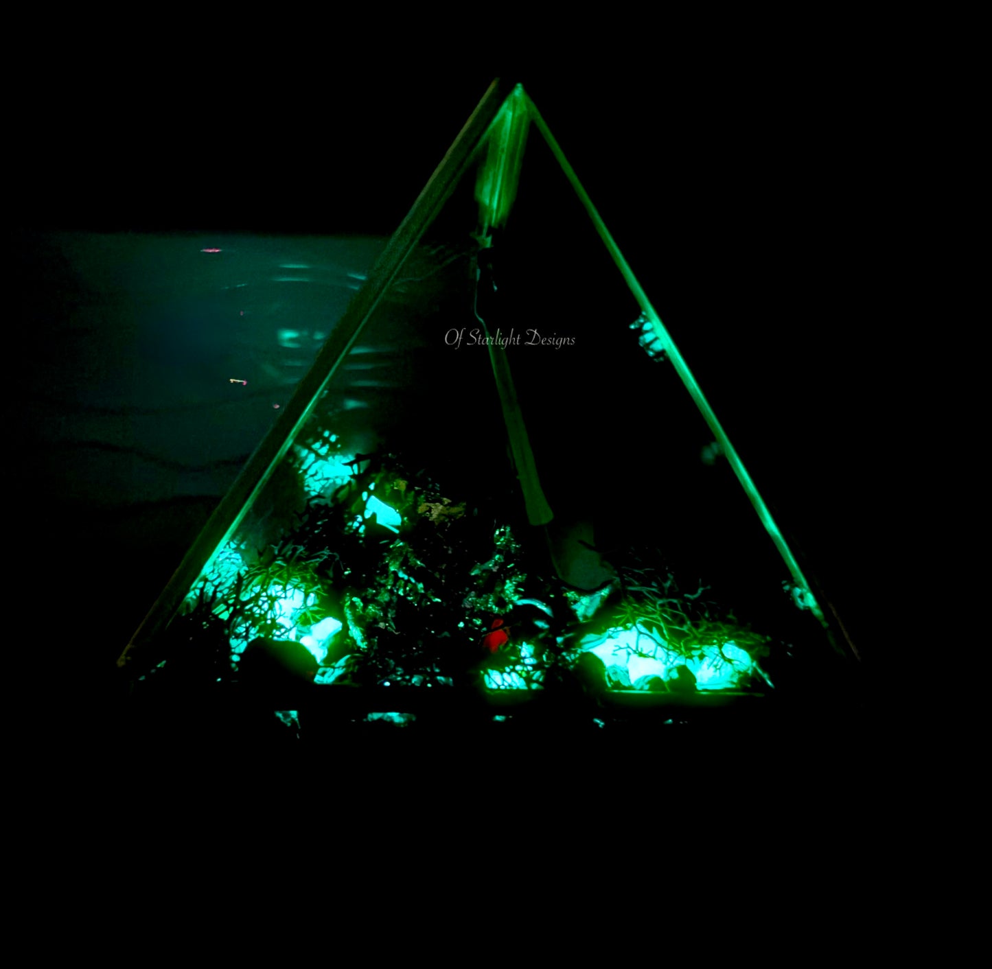 Evolution Triangle Terrarium