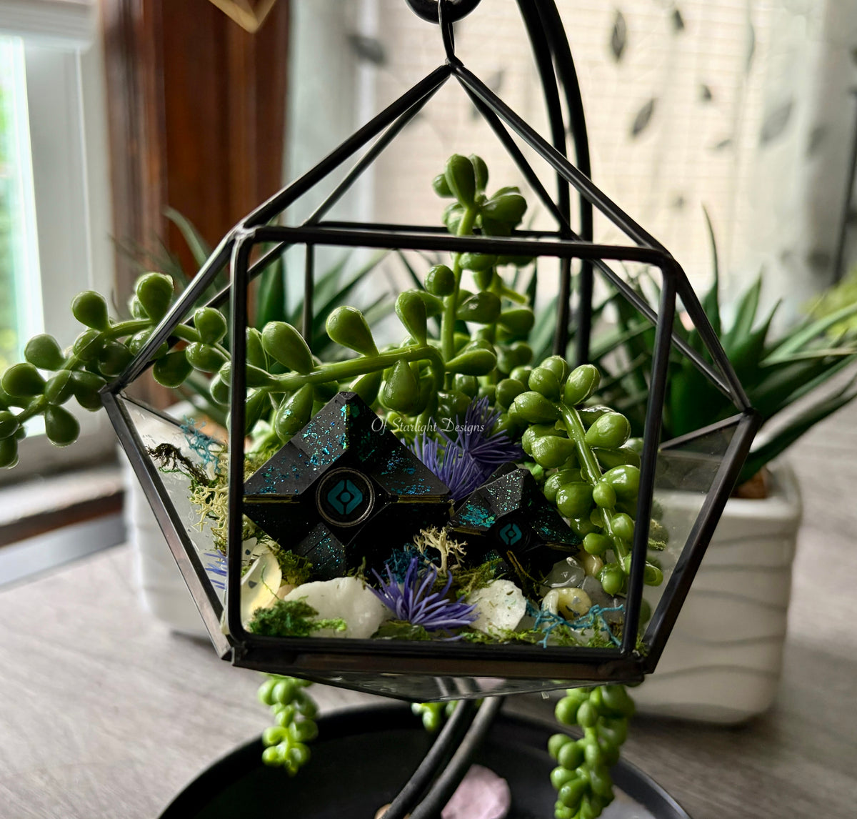 Hanging Venus Little Light Terrarium