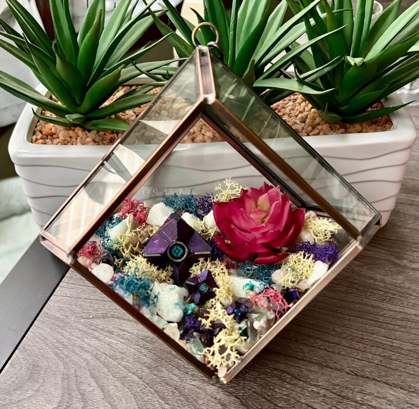 Hanging Dreaming Little Light Terrarium
